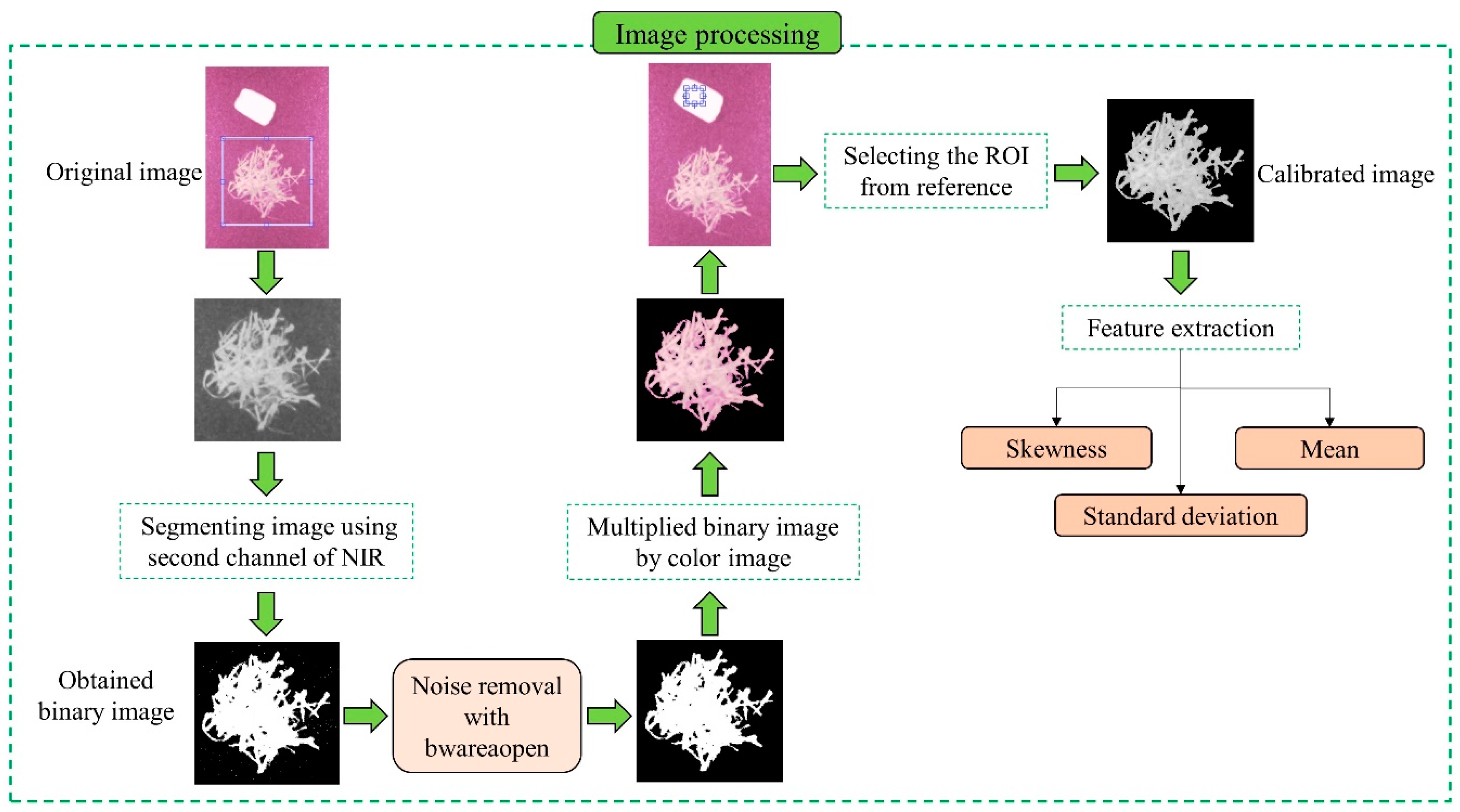Foods 12 02192 g004 Foods 12 02192 g004