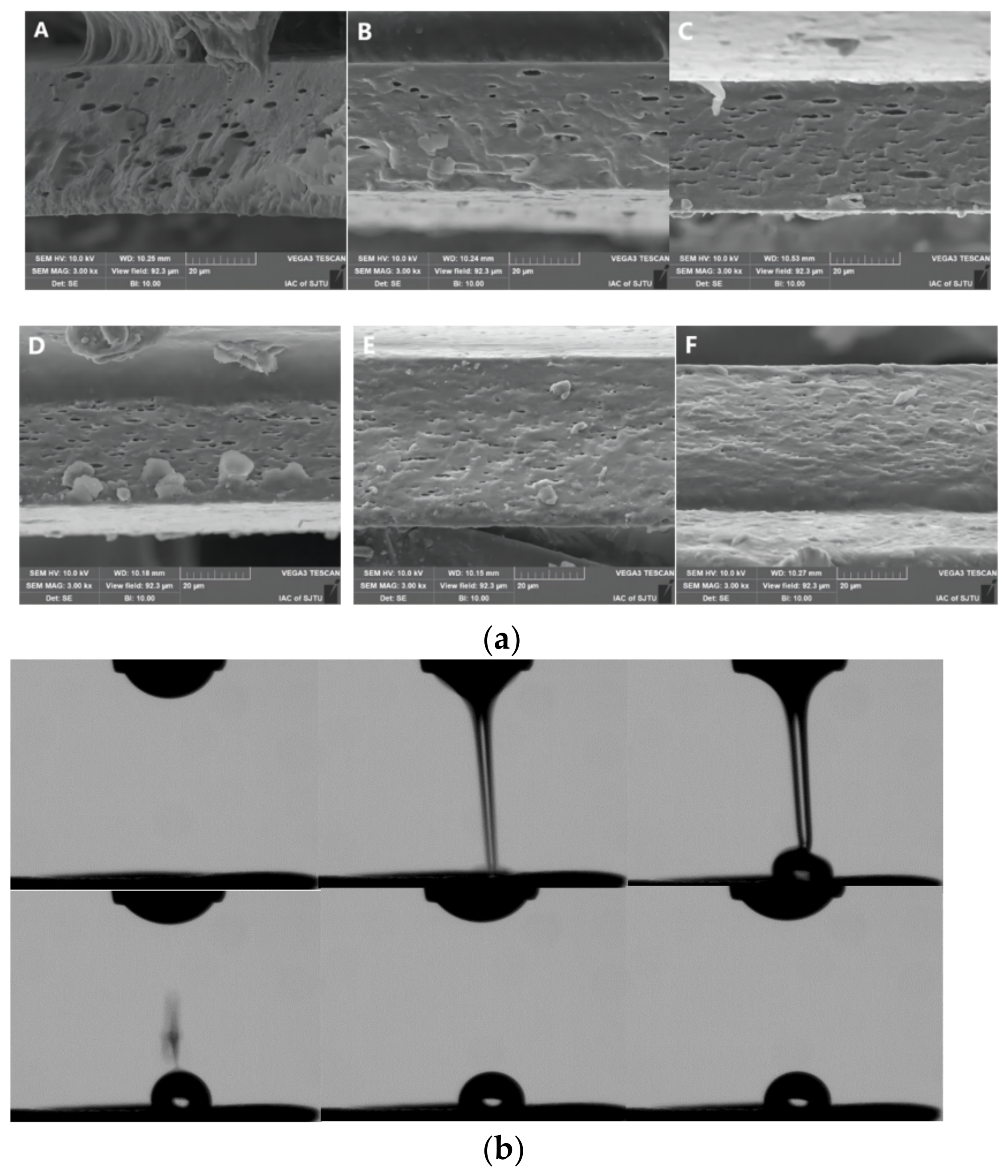Foods 12 02197 g002a