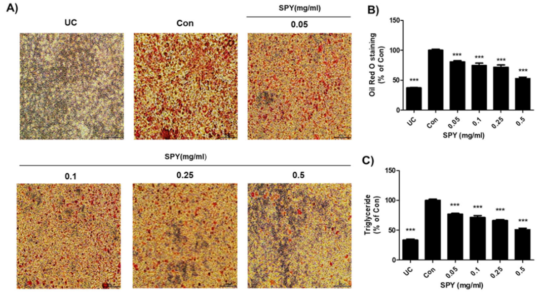 Foods 12 02202 g002 Foods 12 02202 g002
