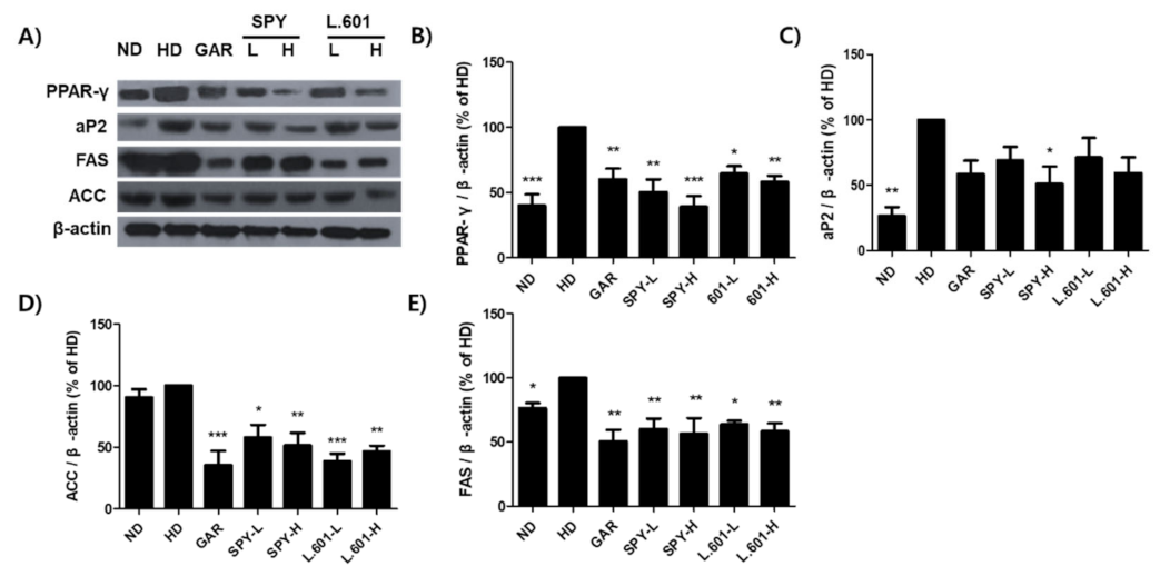 Foods 12 02202 g008 Foods 12 02202 g008