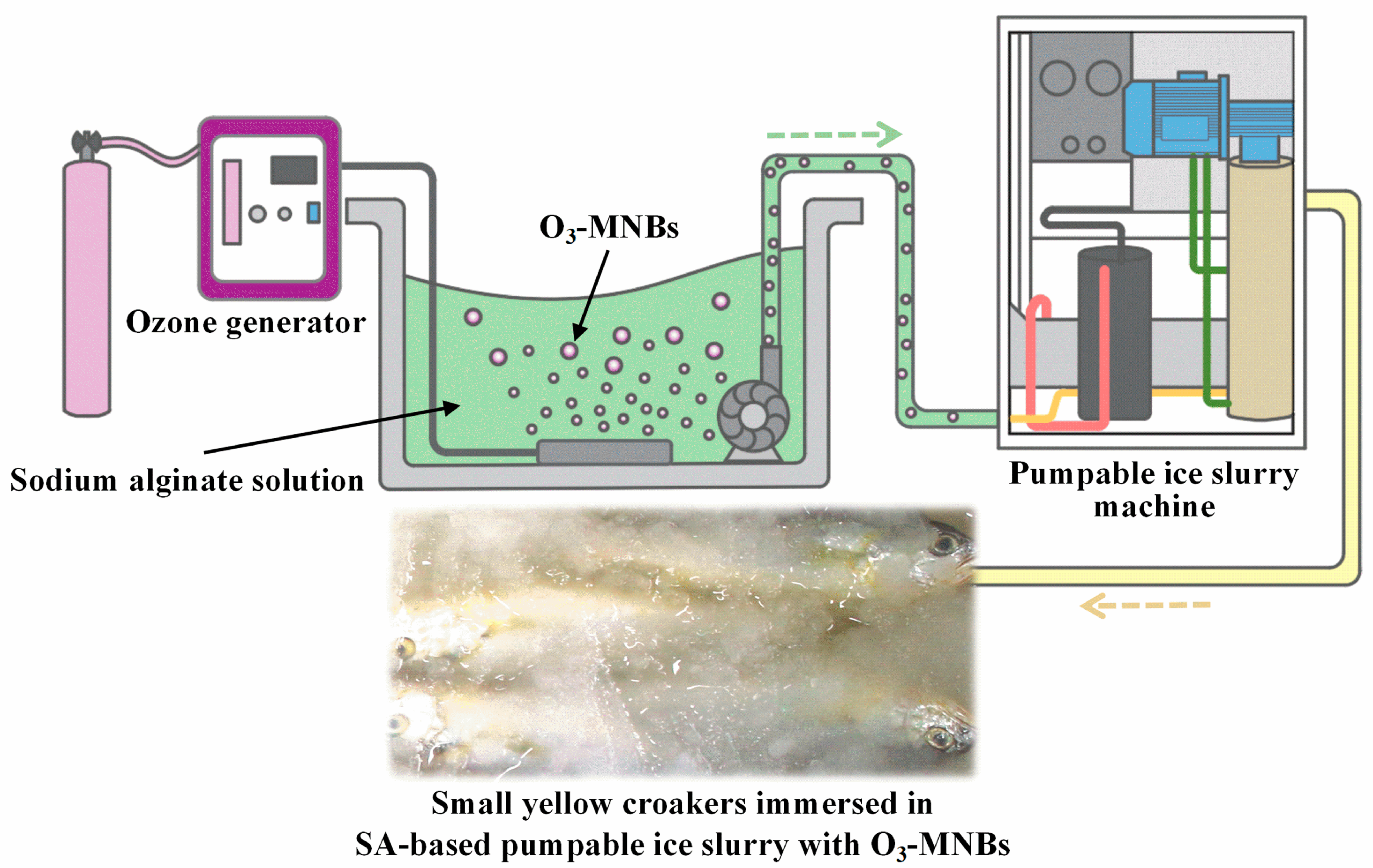 Foods 12 02206 g001 Foods 12 02206 g001