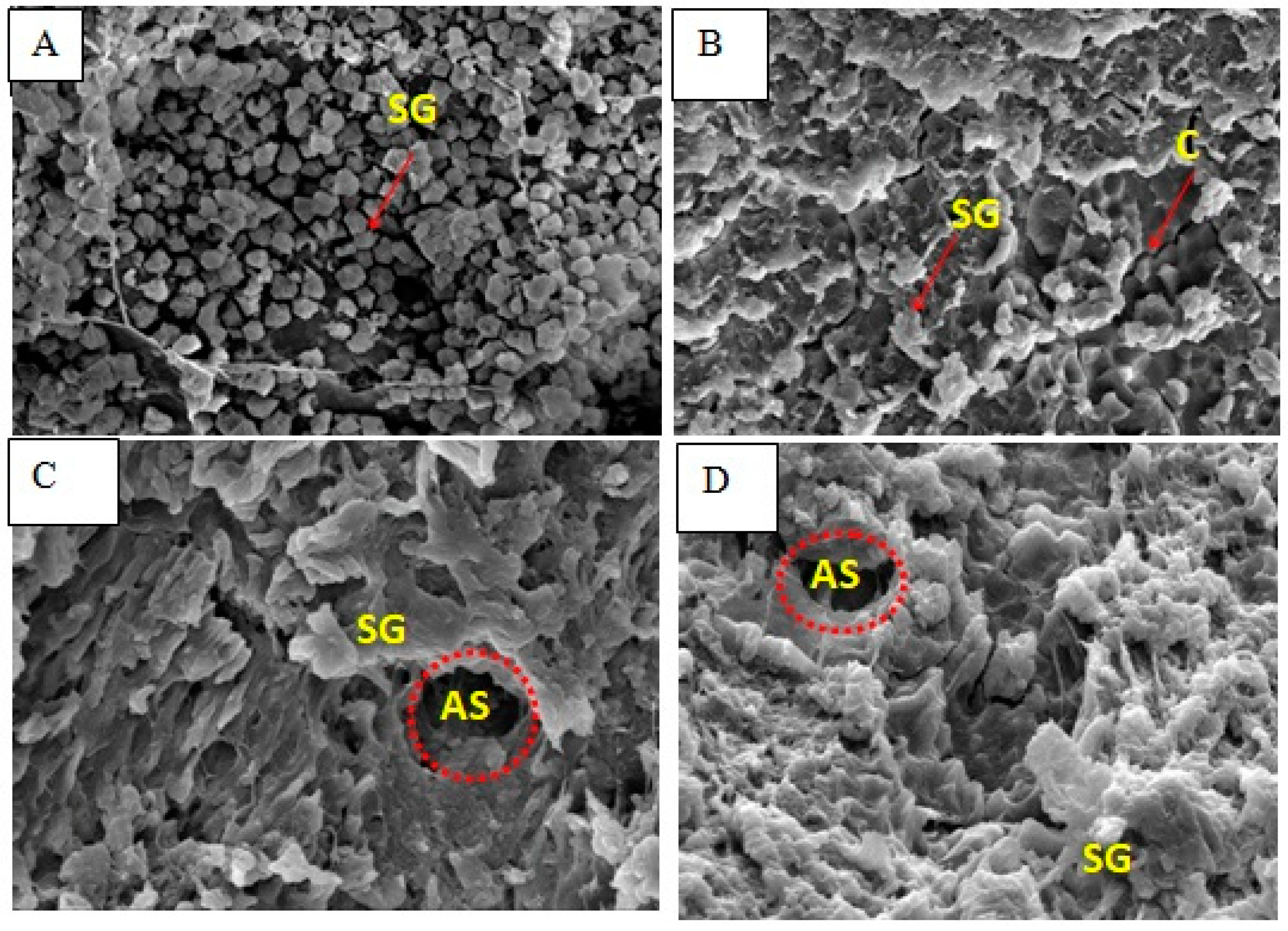 Foods 12 02207 g001 Foods 12 02207 g001