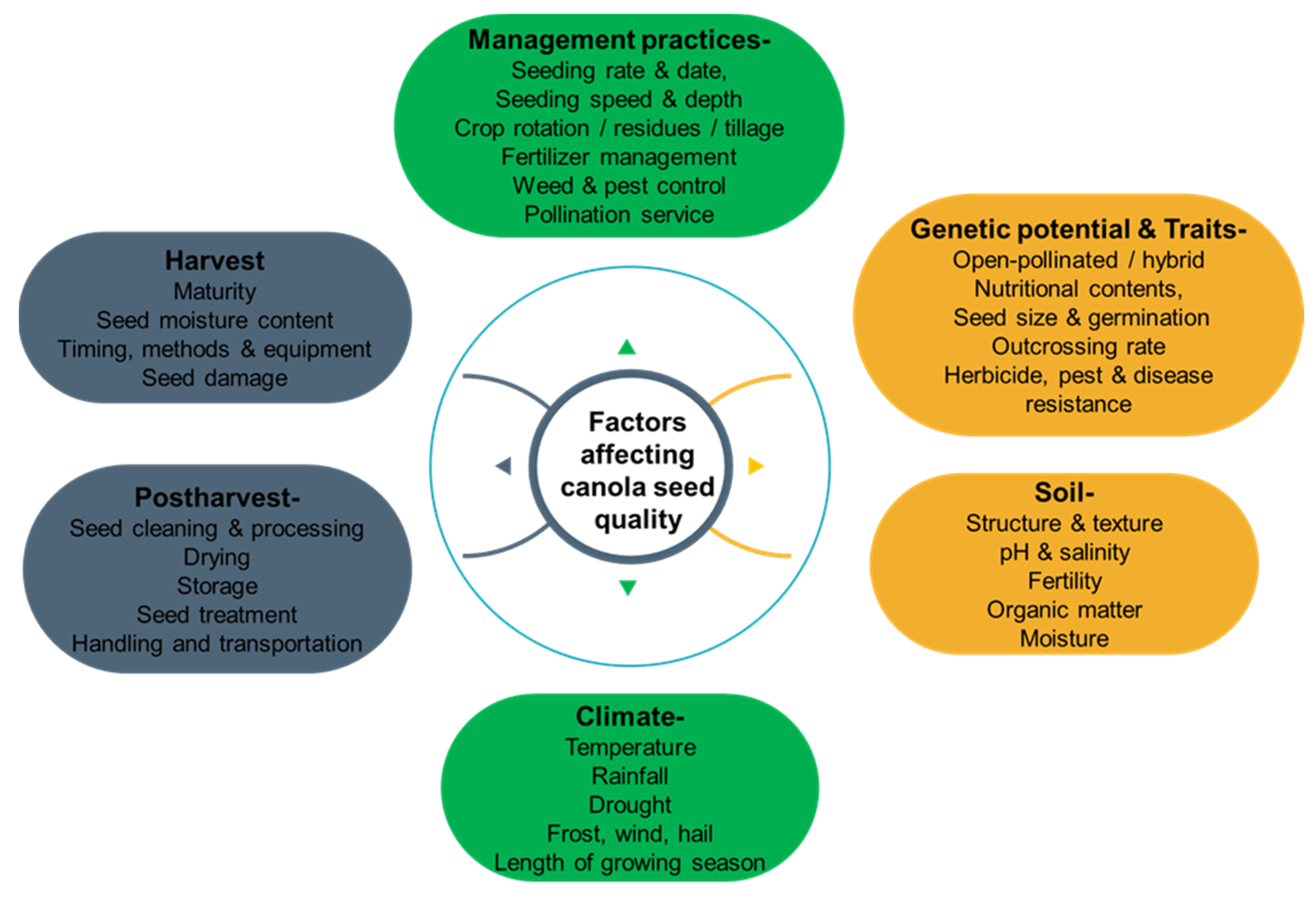 Foods 12 02219 g001 Foods 12 02219 g001