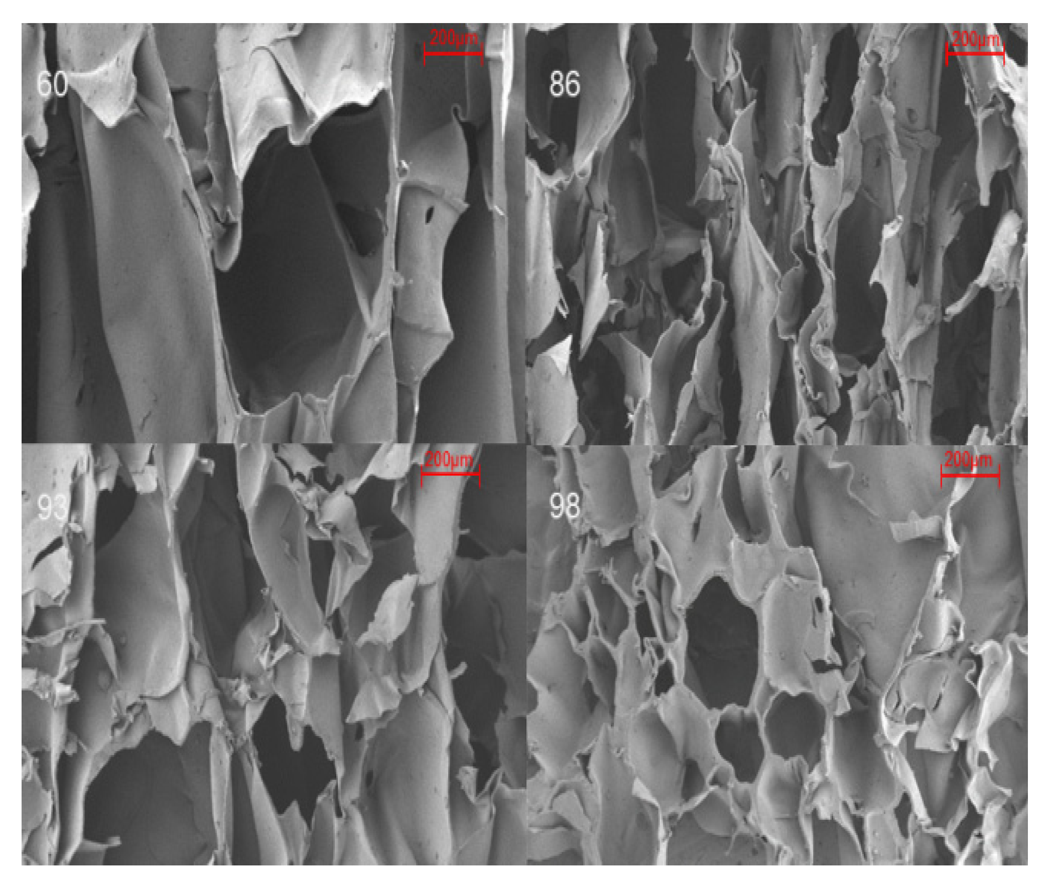 Foods 12 02222 g003 Foods 12 02222 g003