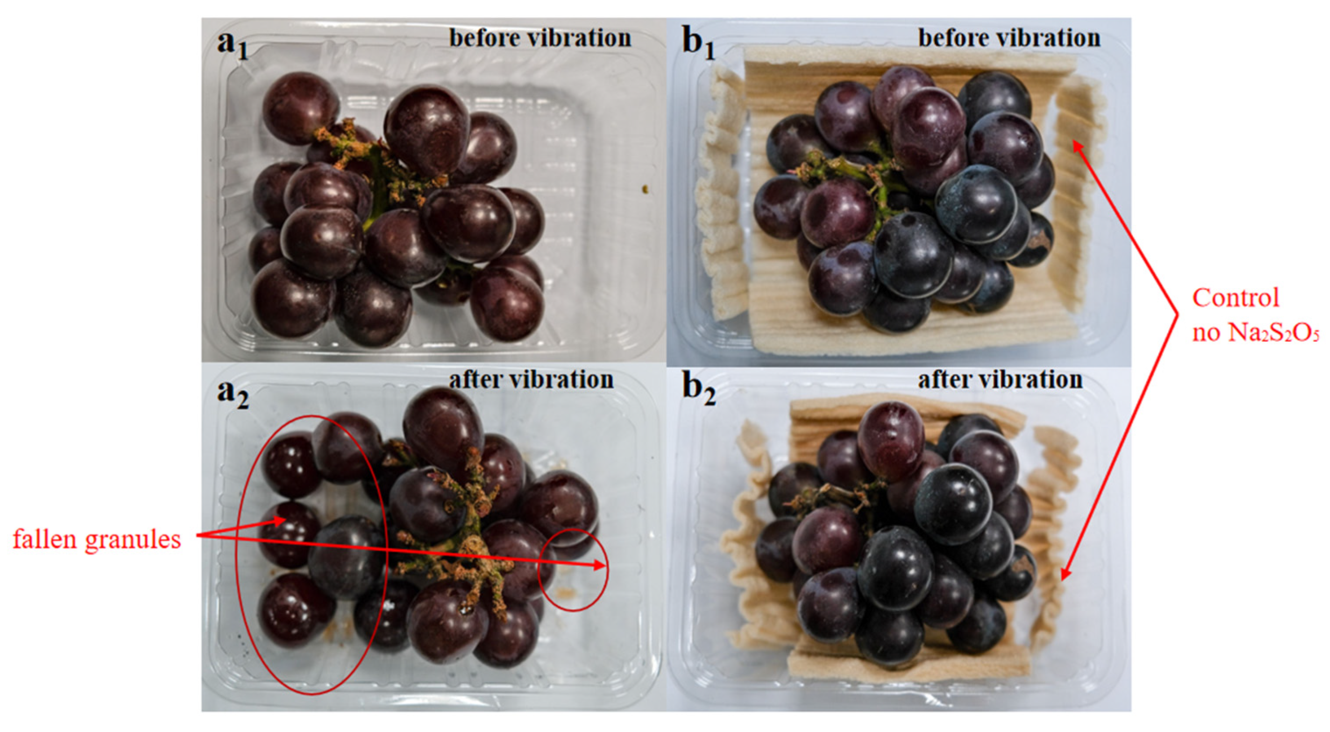 Foods 12 02222 g005 Foods 12 02222 g005