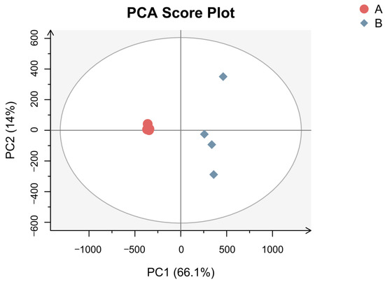 HS-SPME/GC×GC-TOFMS-Based Flavoromics and Antimicrobial