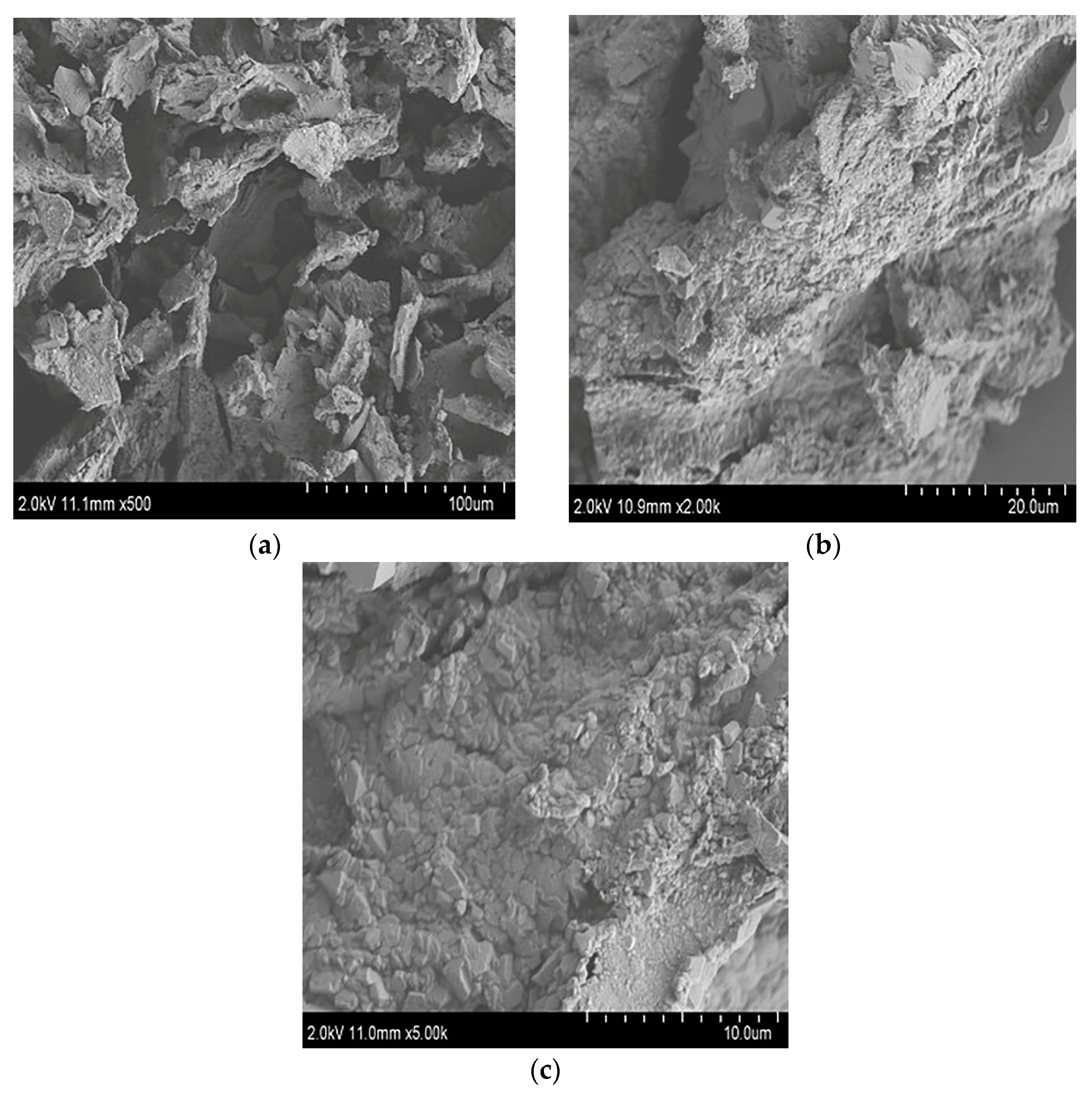 Foods 12 02226 g006 Foods 12 02226 g006