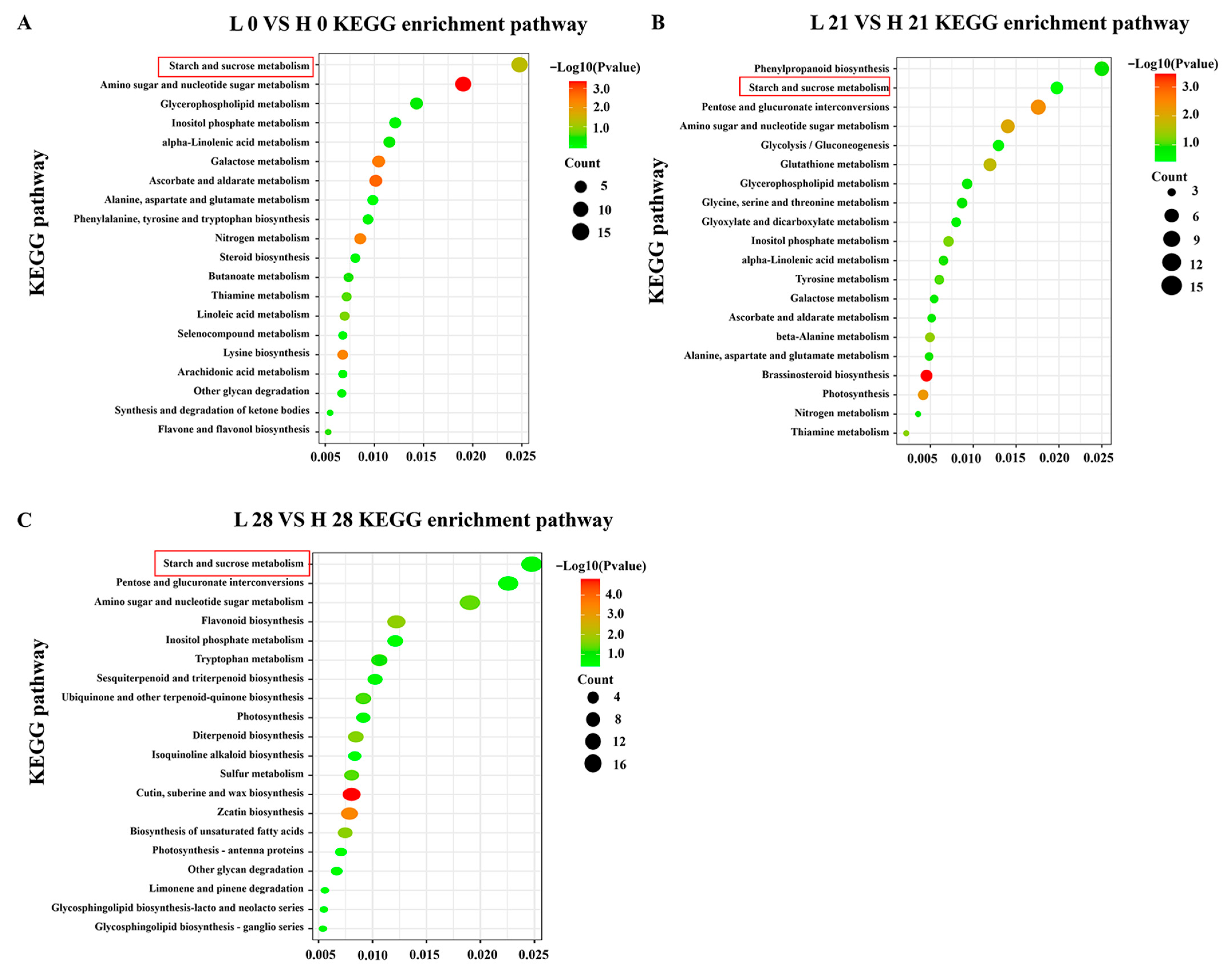 Foods 12 02244 g003 Foods 12 02244 g003