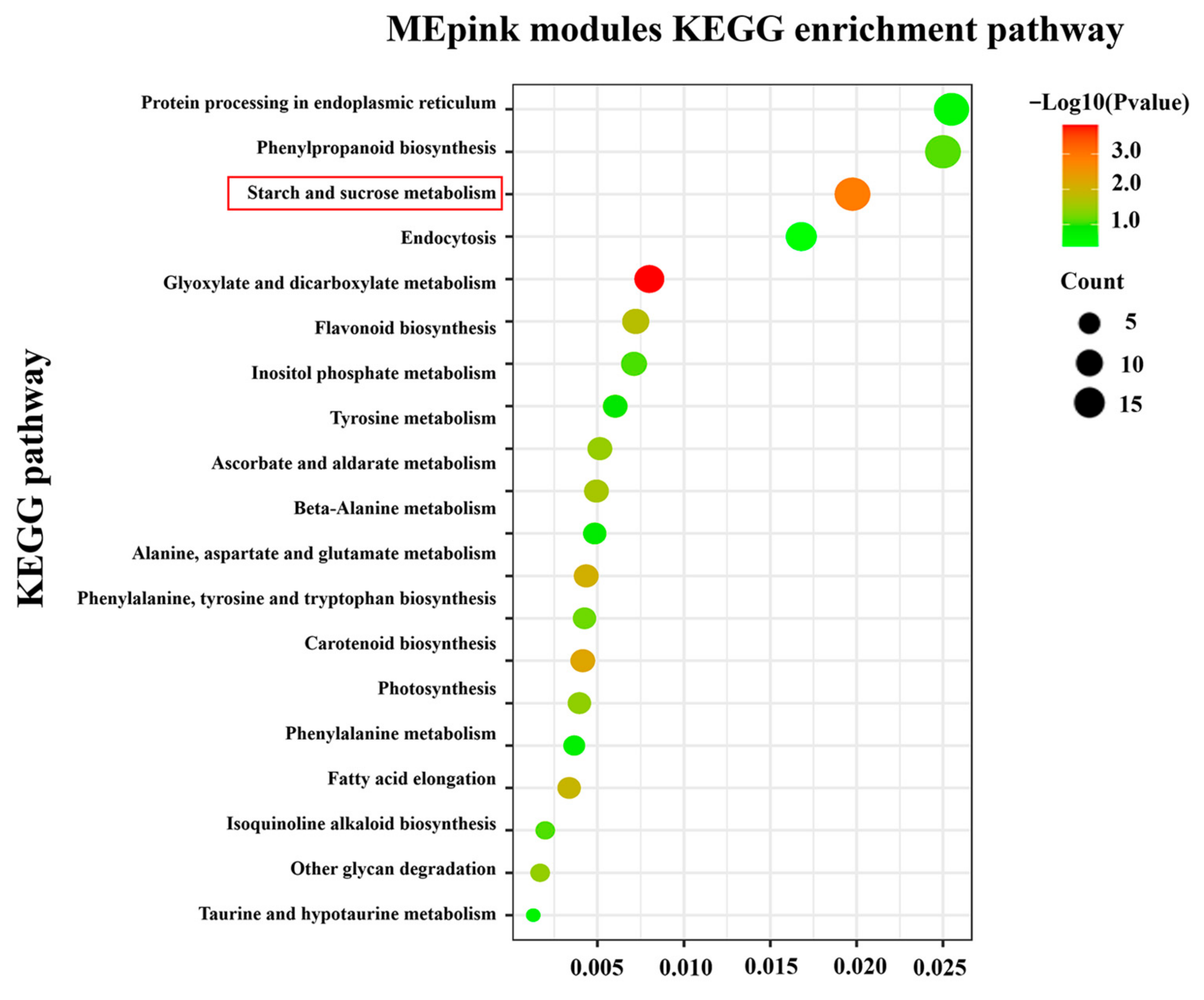 Foods 12 02244 g005 Foods 12 02244 g005