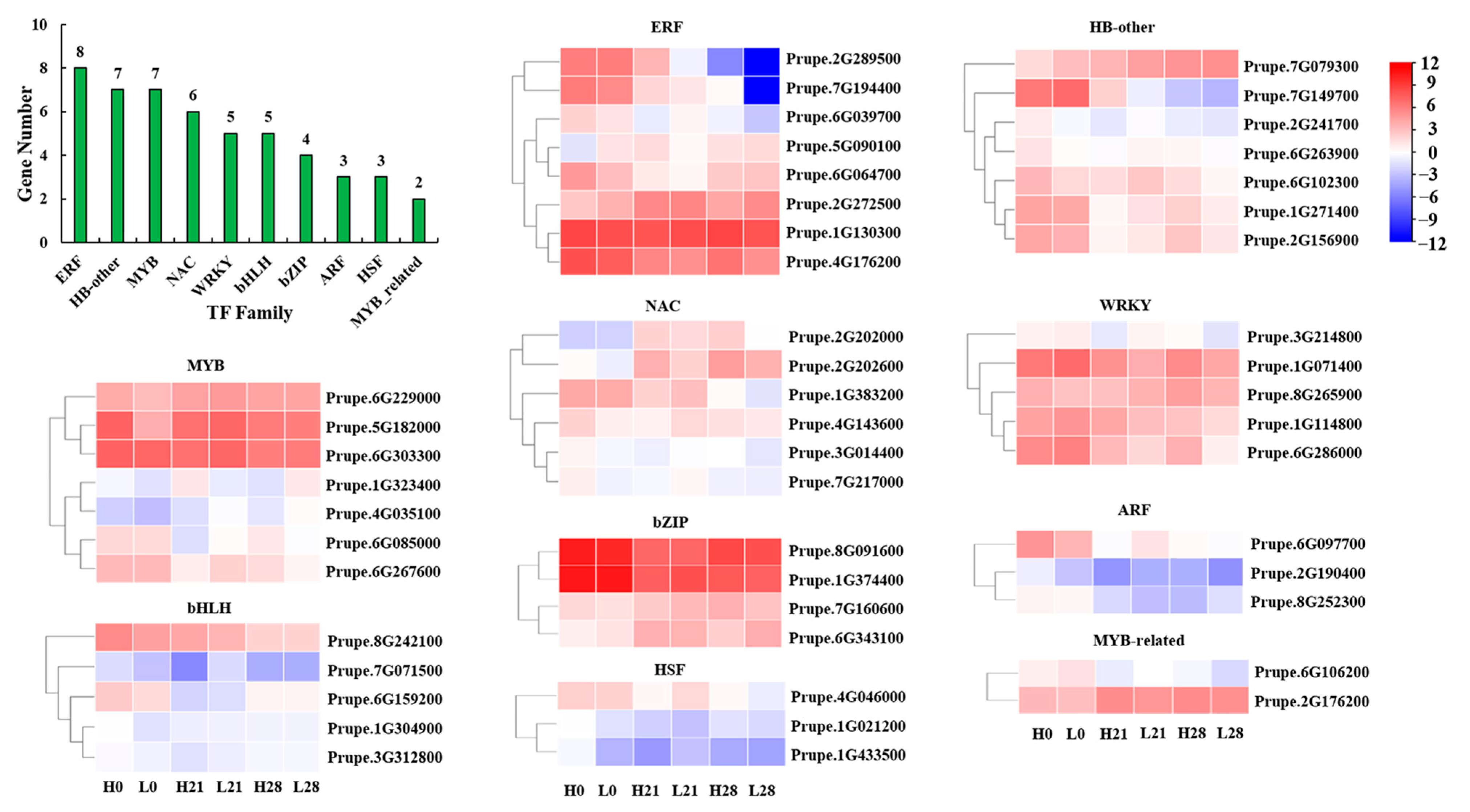 Foods 12 02244 g007 Foods 12 02244 g007
