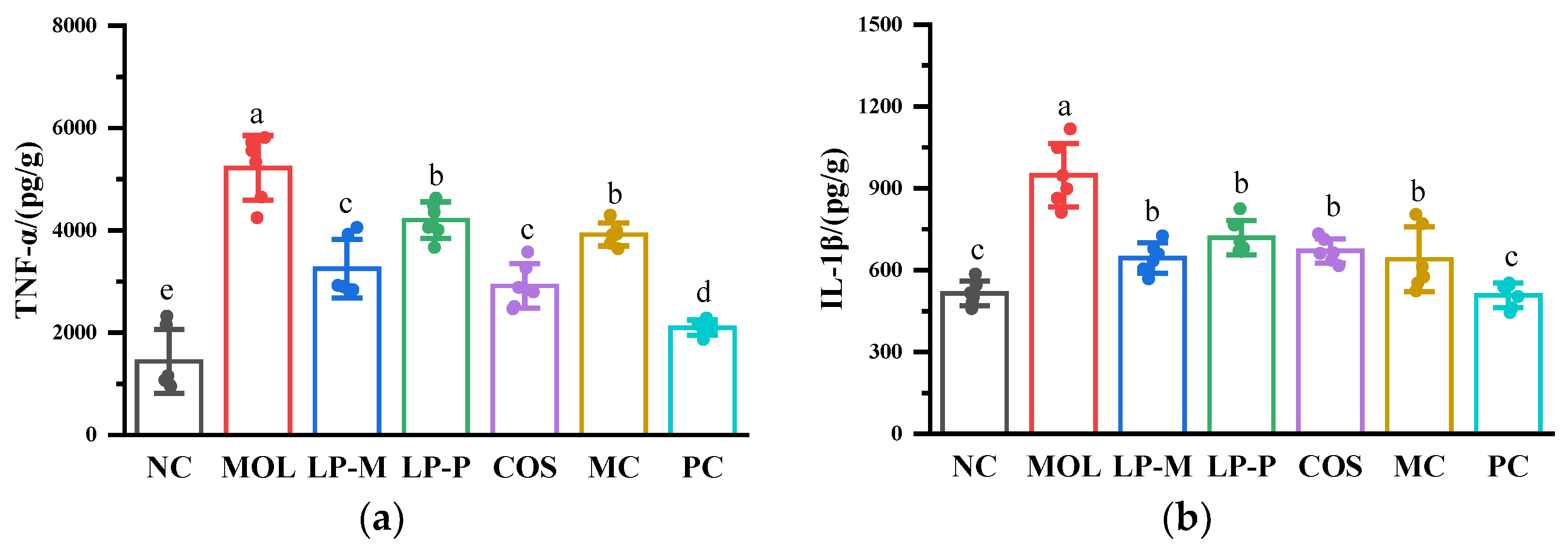Foods 12 02251 g004a