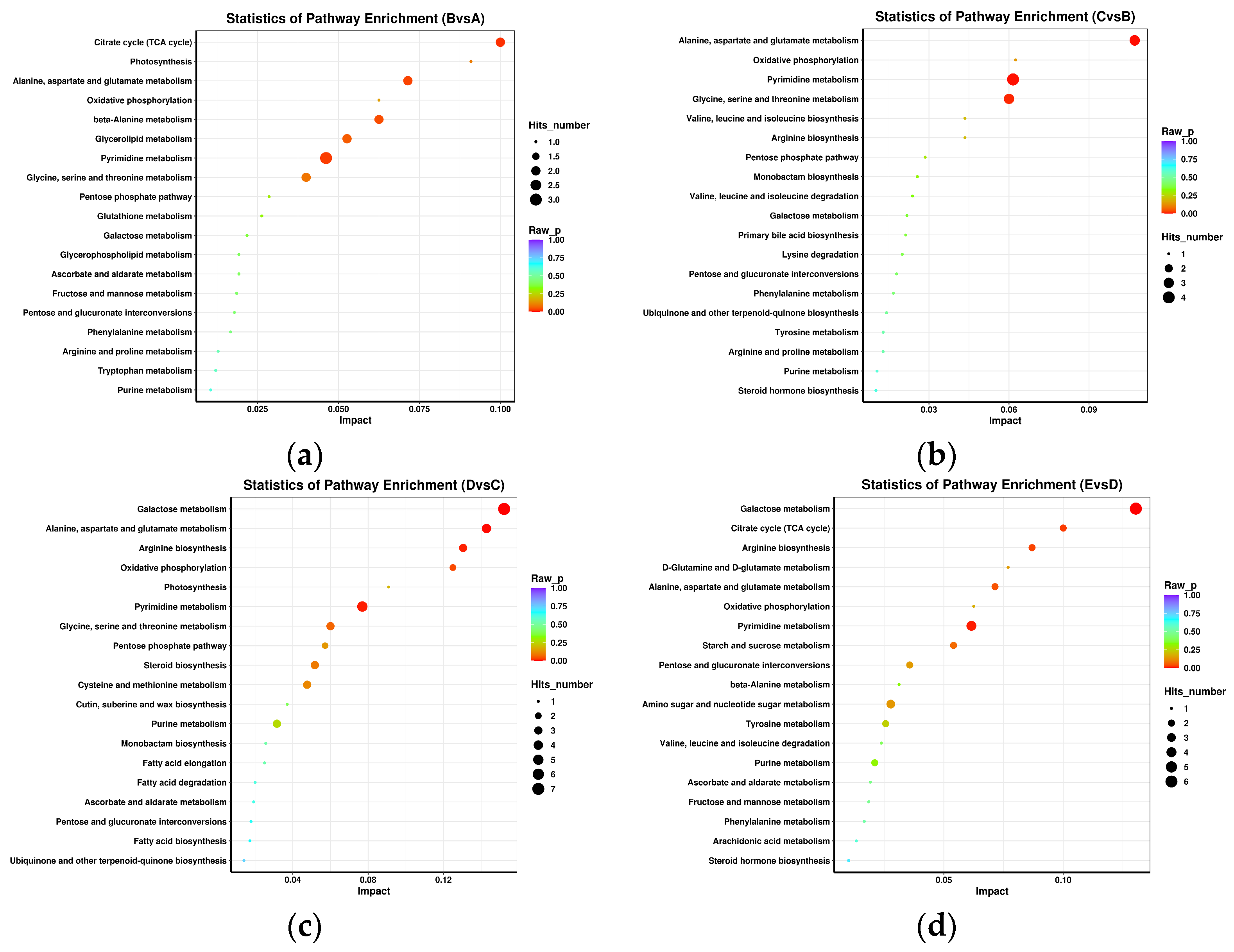 Foods 12 02254 g006 Foods 12 02254 g006