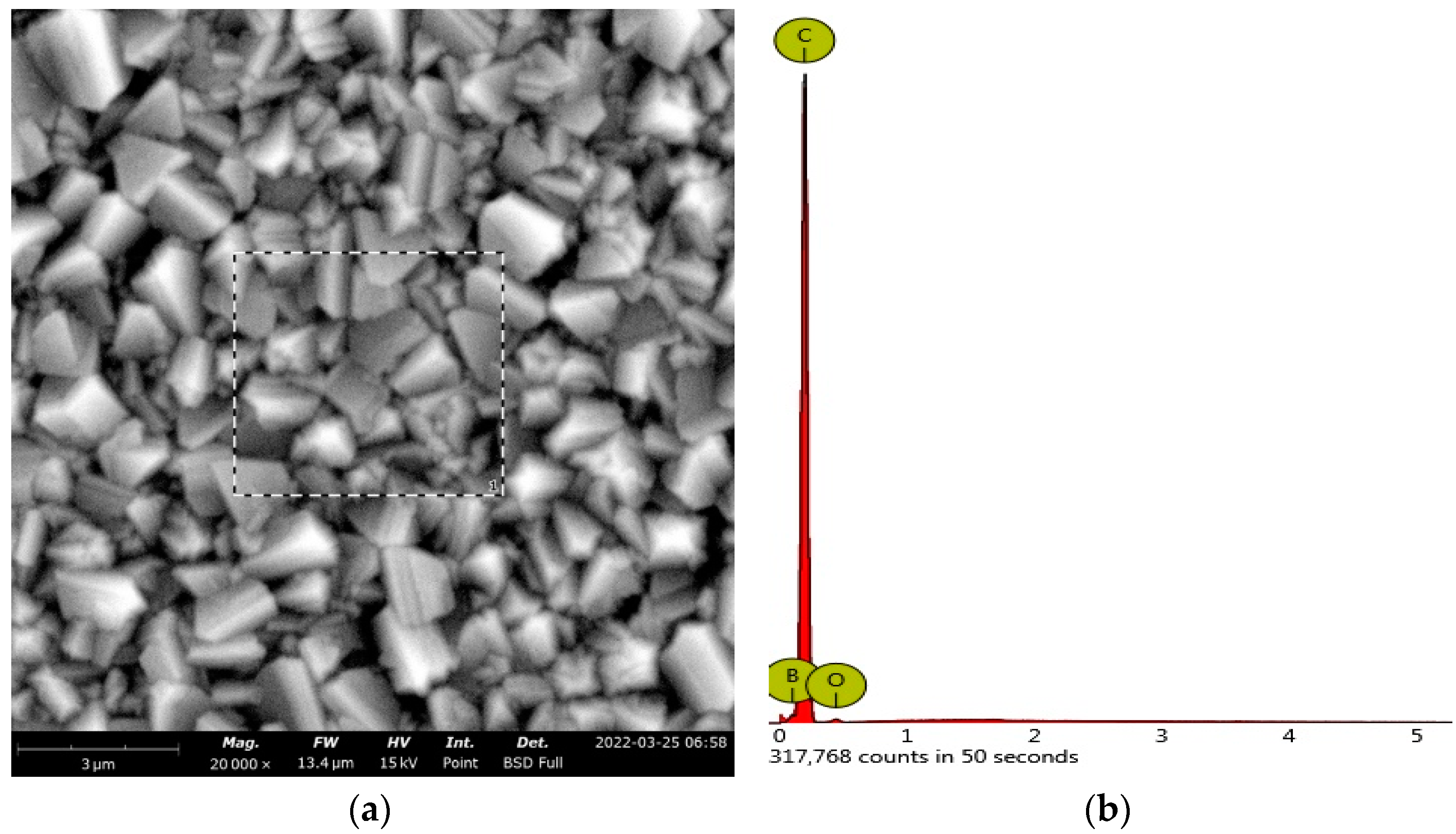 Foods 12 02264 g001 Foods 12 02264 g001