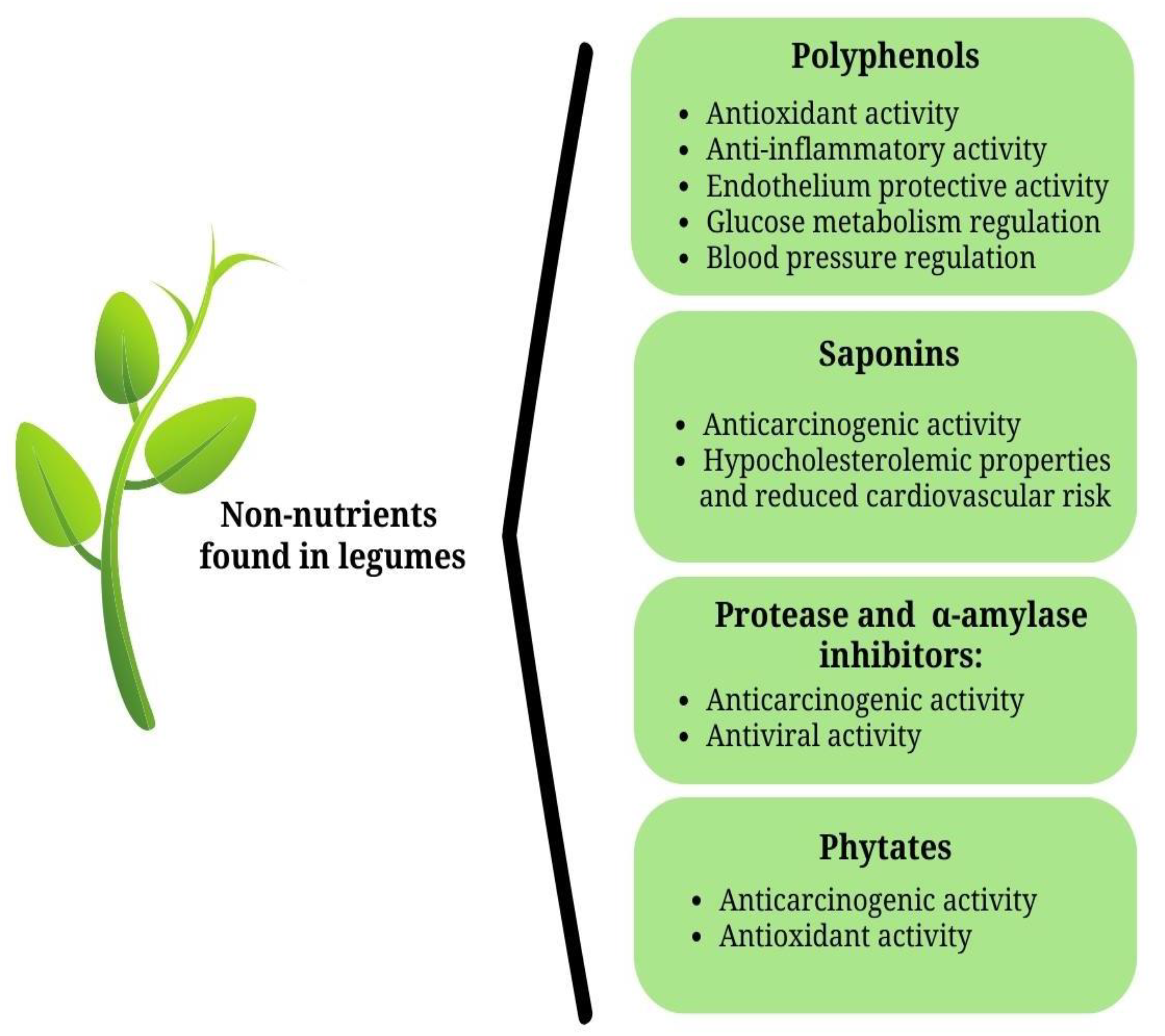 Foods 12 02265 g001 Foods 12 02265 g001