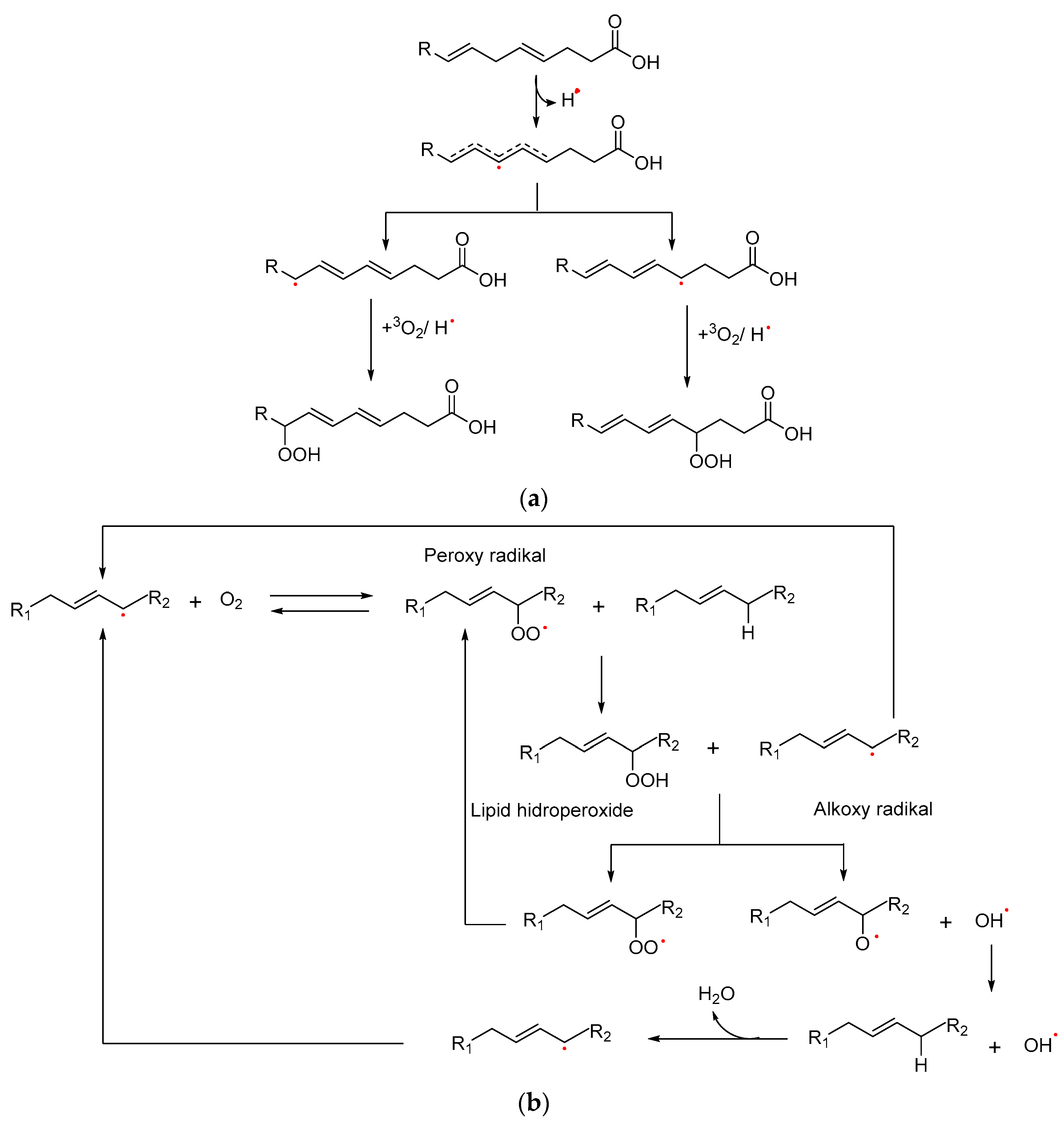 Foods 12 02275 g001a 550