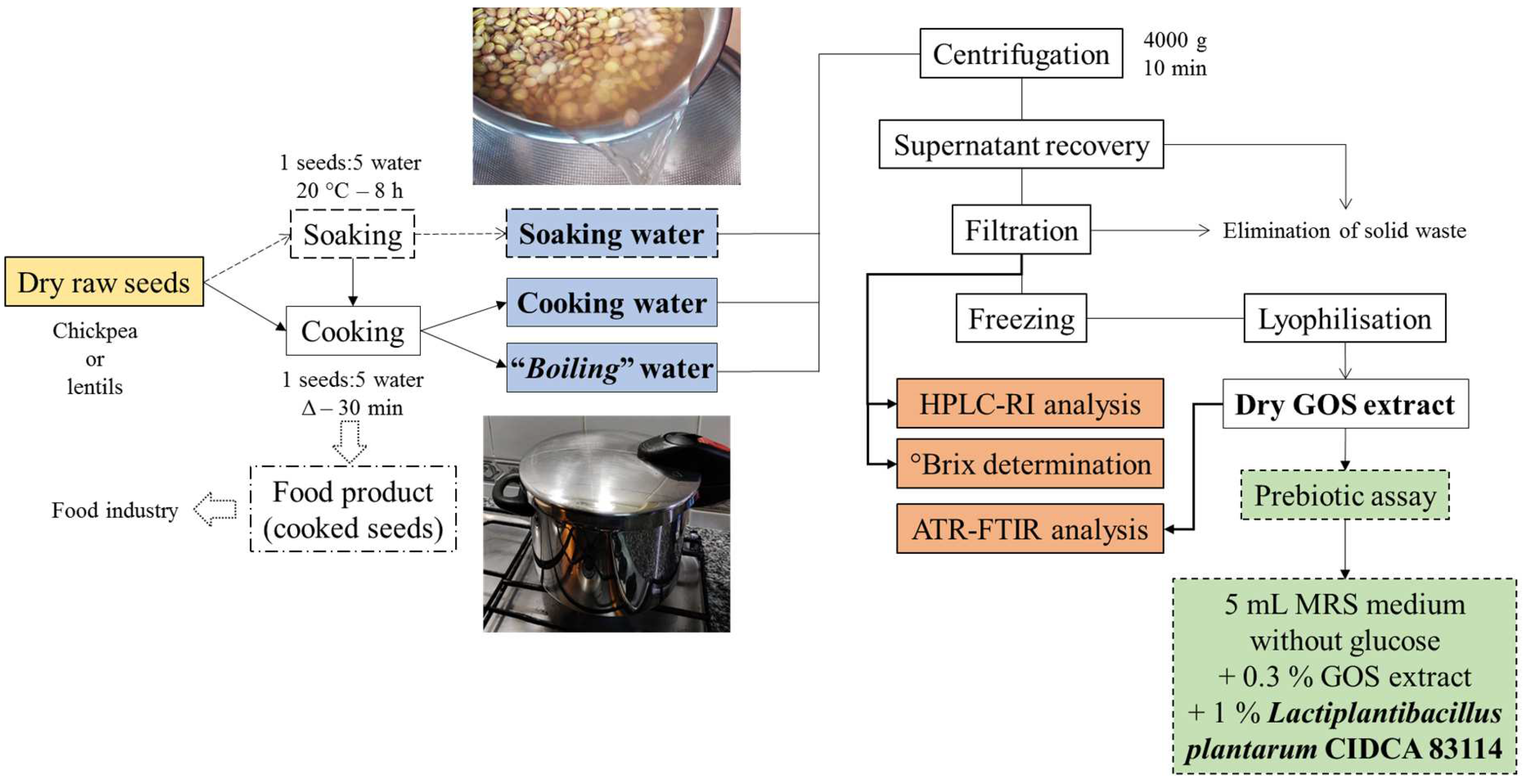 Foods 12 02324 g001 Foods 12 02324 g001