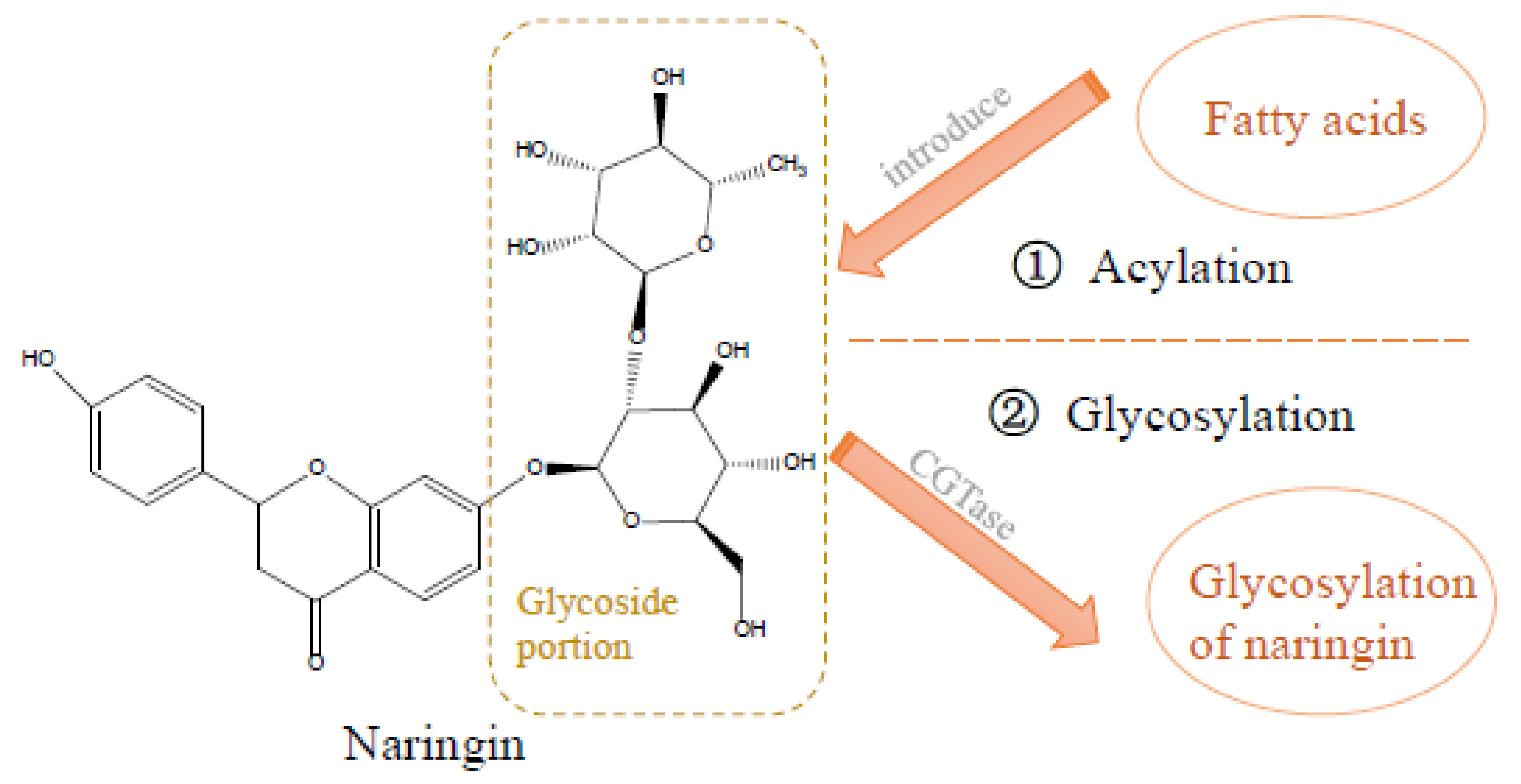 Biological Activities and Solubilization Methodologies of Naringin