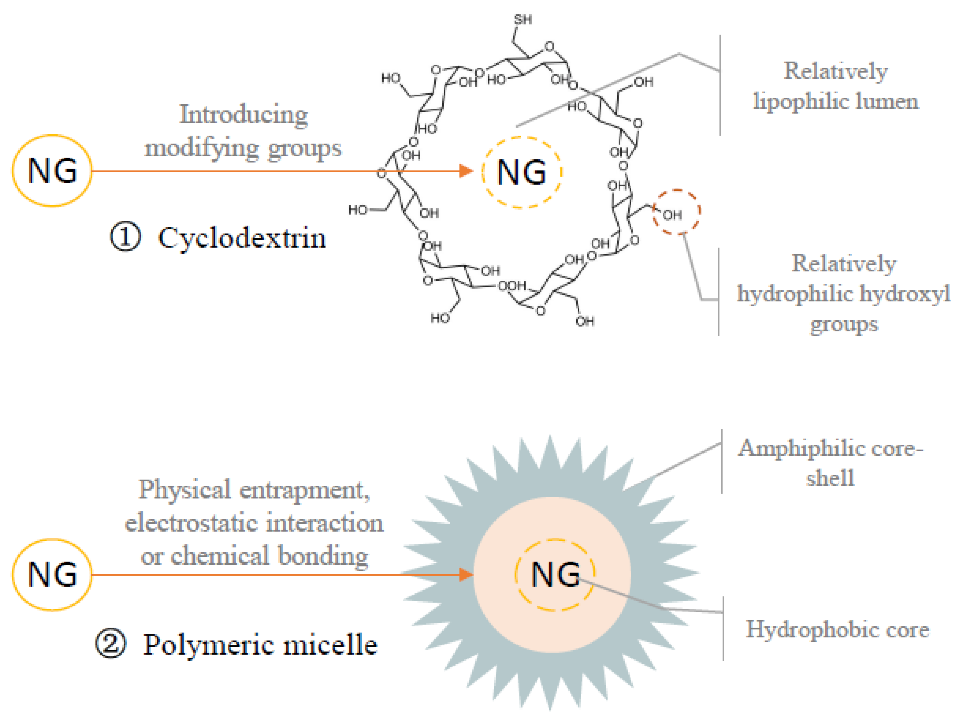 Foods 12 02327 g003 Foods 12 02327 g003