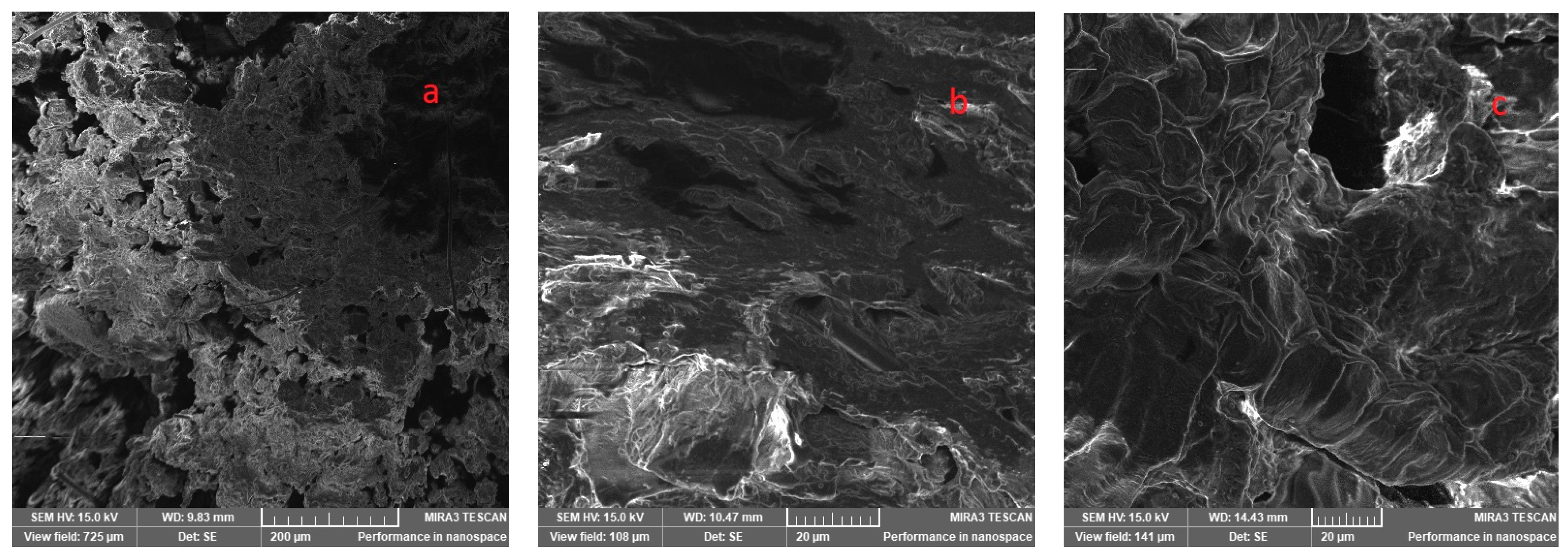 Foods 12 02333 g009a