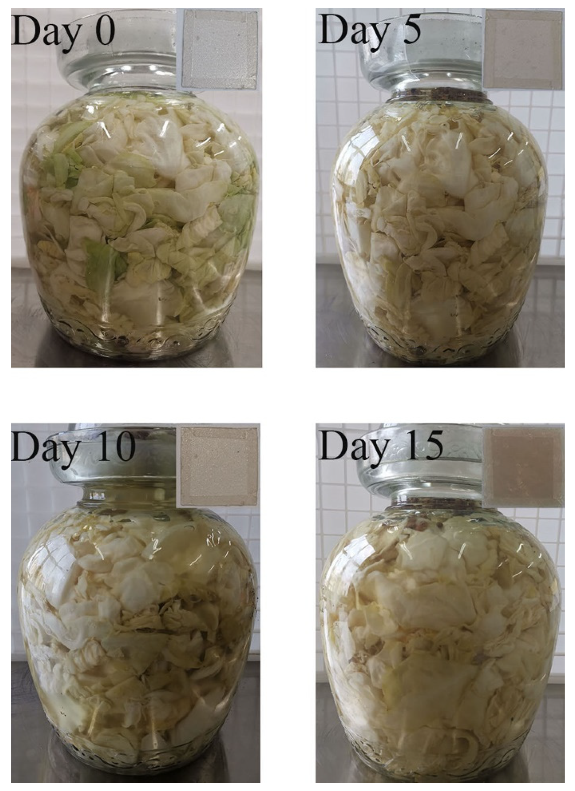 Foods Free Full Text Development of Smart Films of a Chitosan