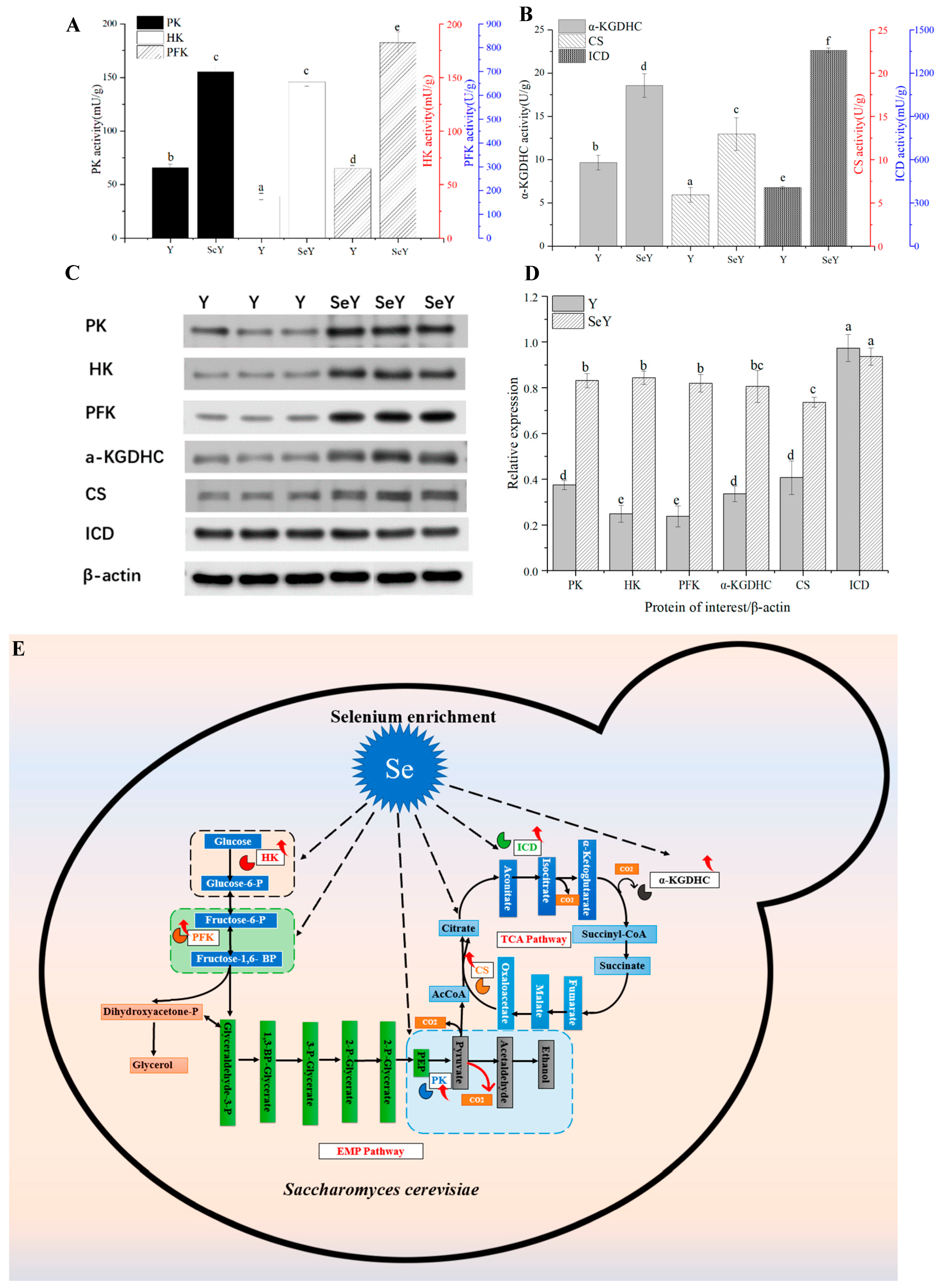 Foods 12 02343 g002 Foods 12 02343 g002
