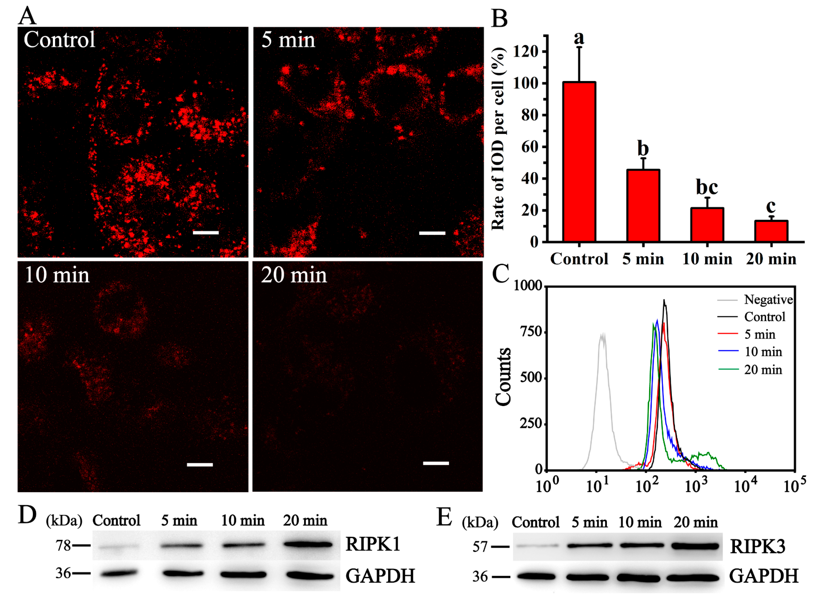 Foods 12 02353 g007 Foods 12 02353 g007