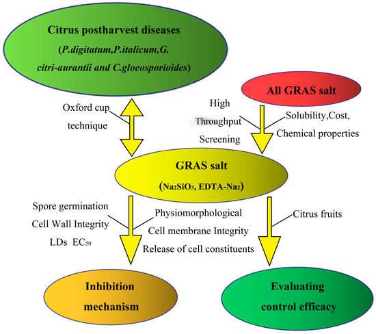 The GRAS Salts of Na2SiO3 and EDTA-Na2 Control Citrus Postharvest 