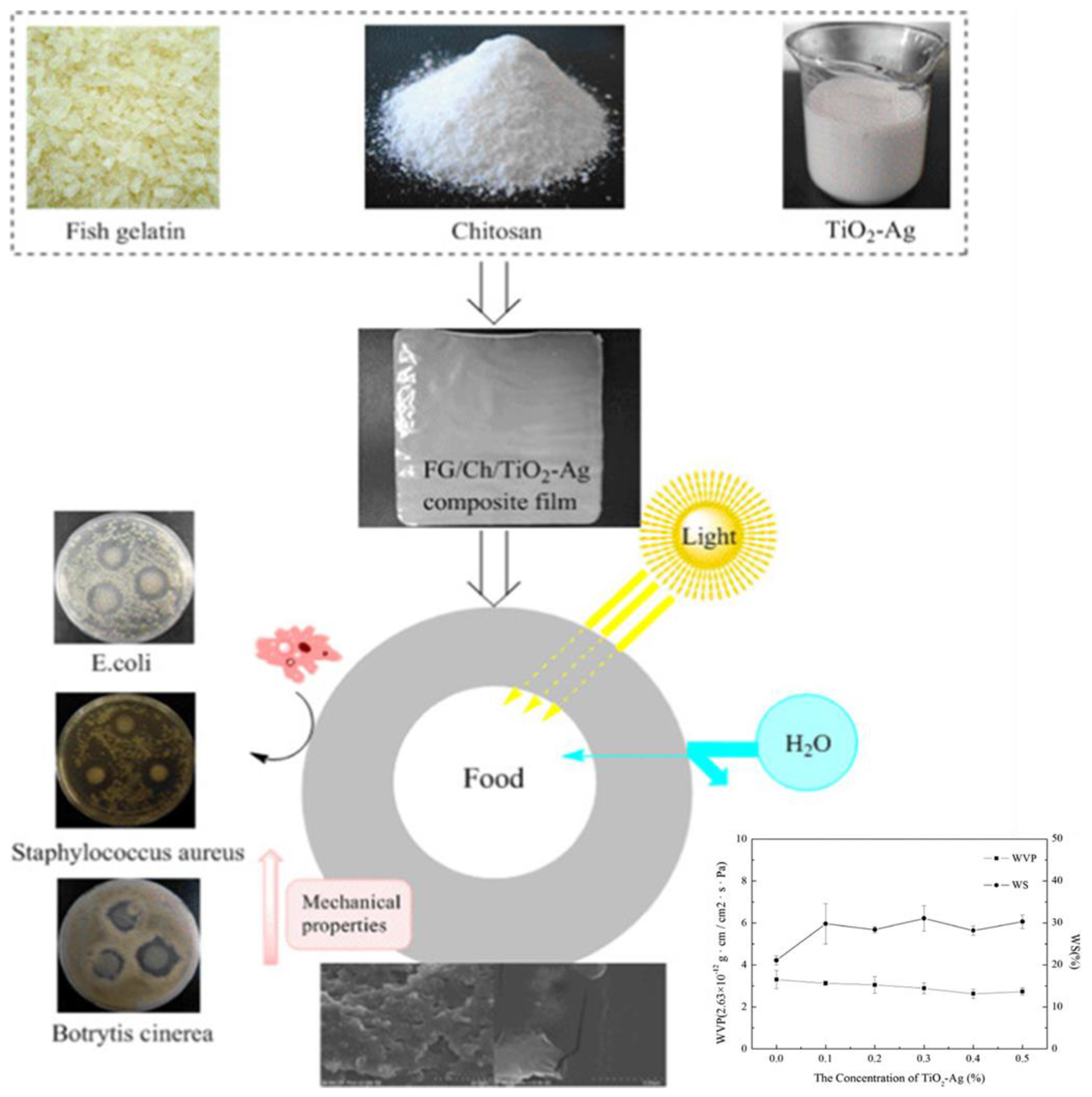 Foods 12 02422 g004 Foods 12 02422 g004