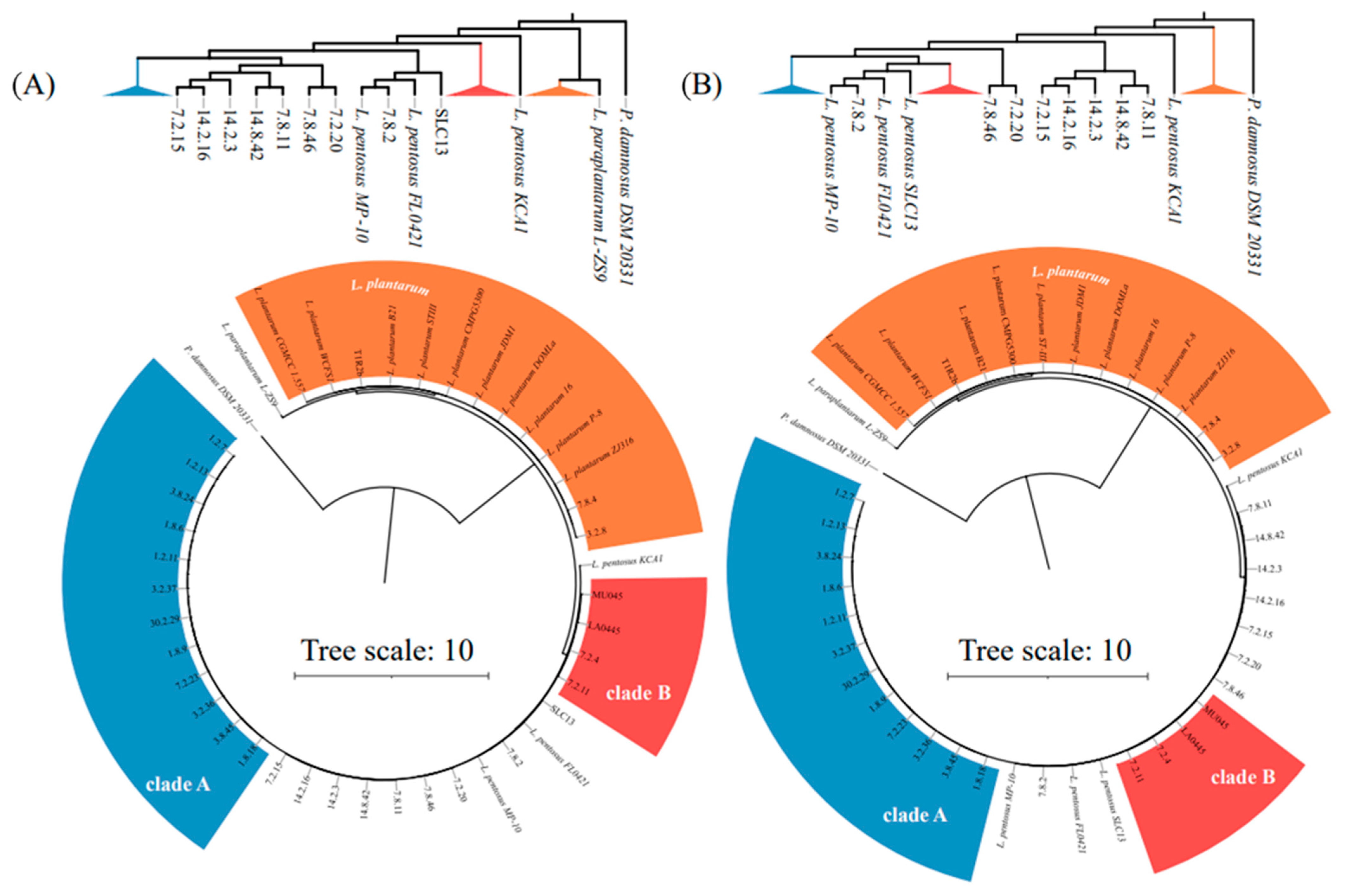 Foods 12 02455 g004 Foods 12 02455 g004