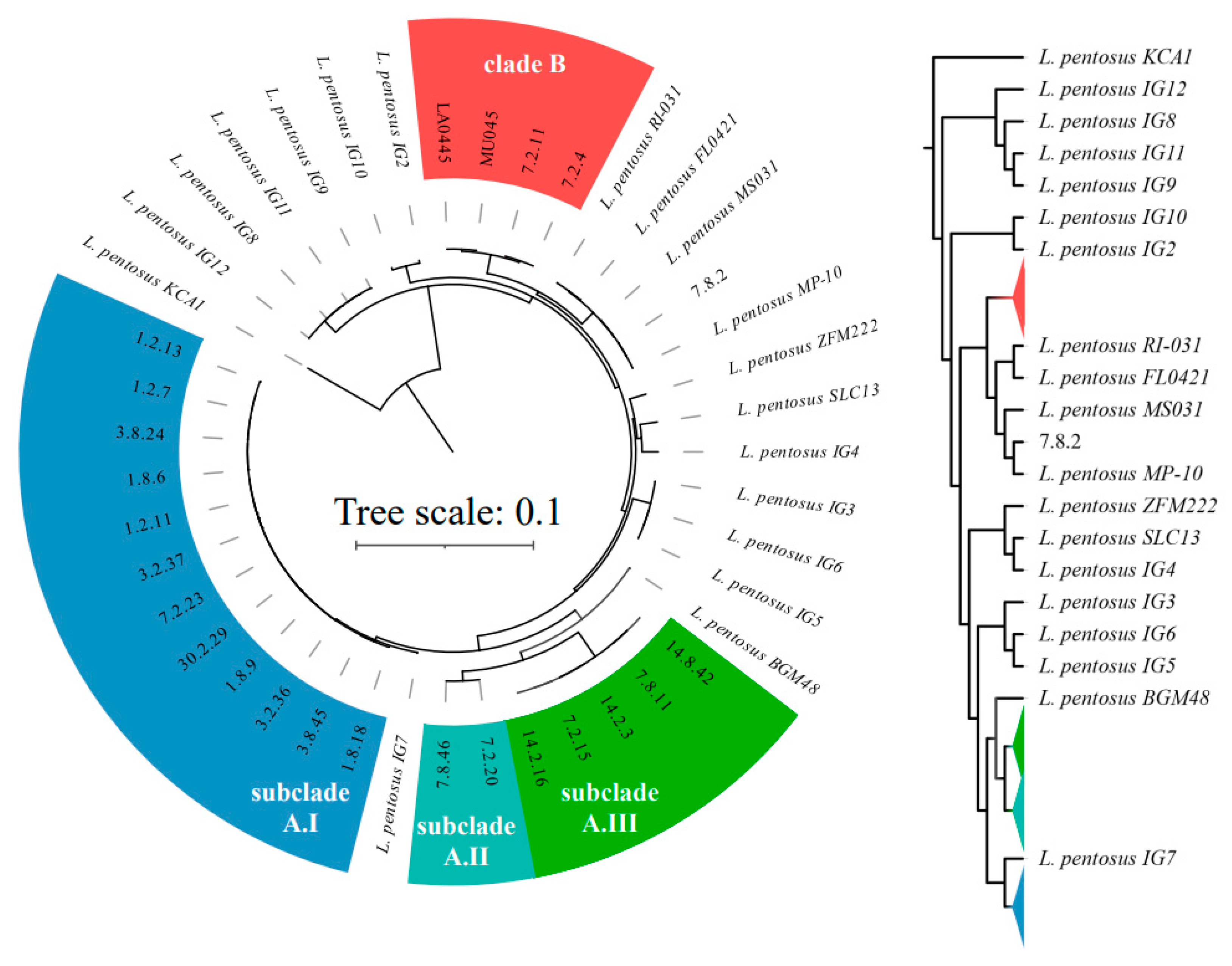 Foods 12 02455 g005 Foods 12 02455 g005
