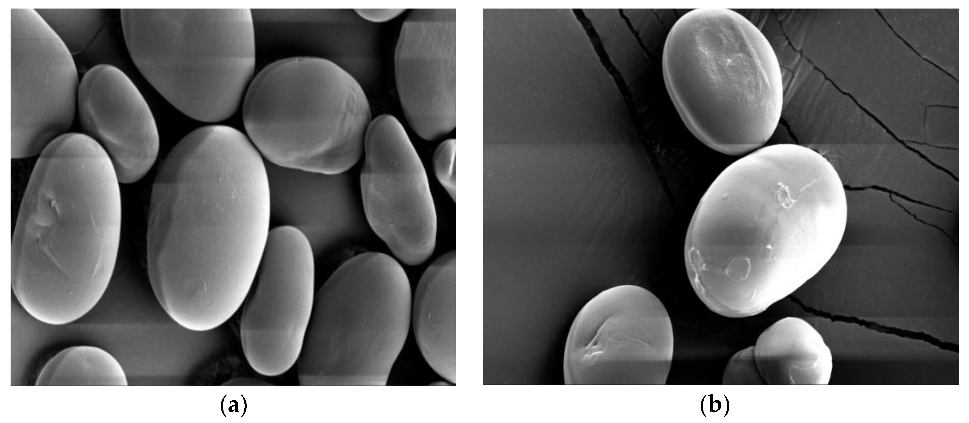 Foods 12 02462 g005a