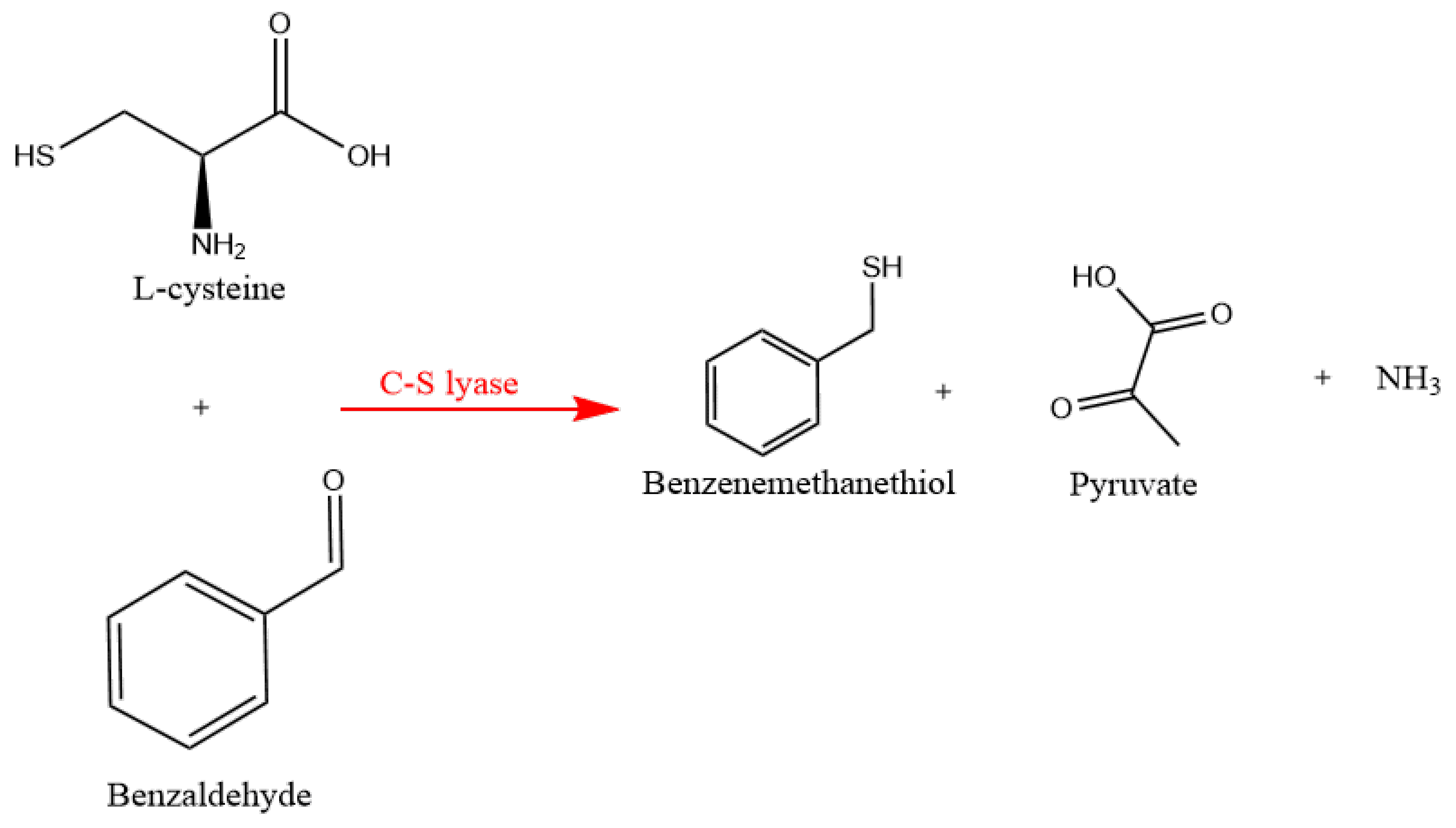 Foods 12 02464 g001 Foods 12 02464 g001