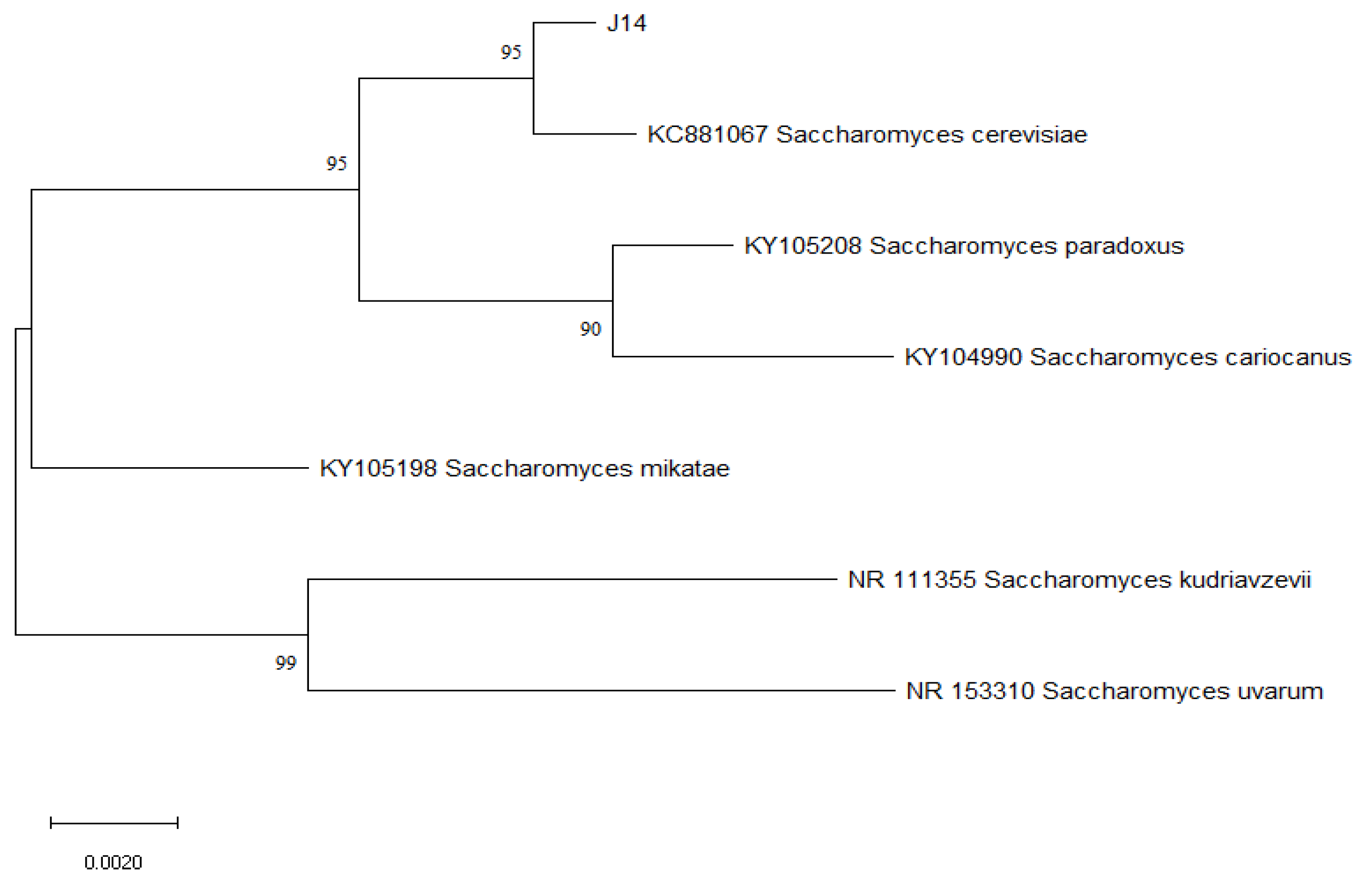 Foods 12 02464 g004 Foods 12 02464 g004
