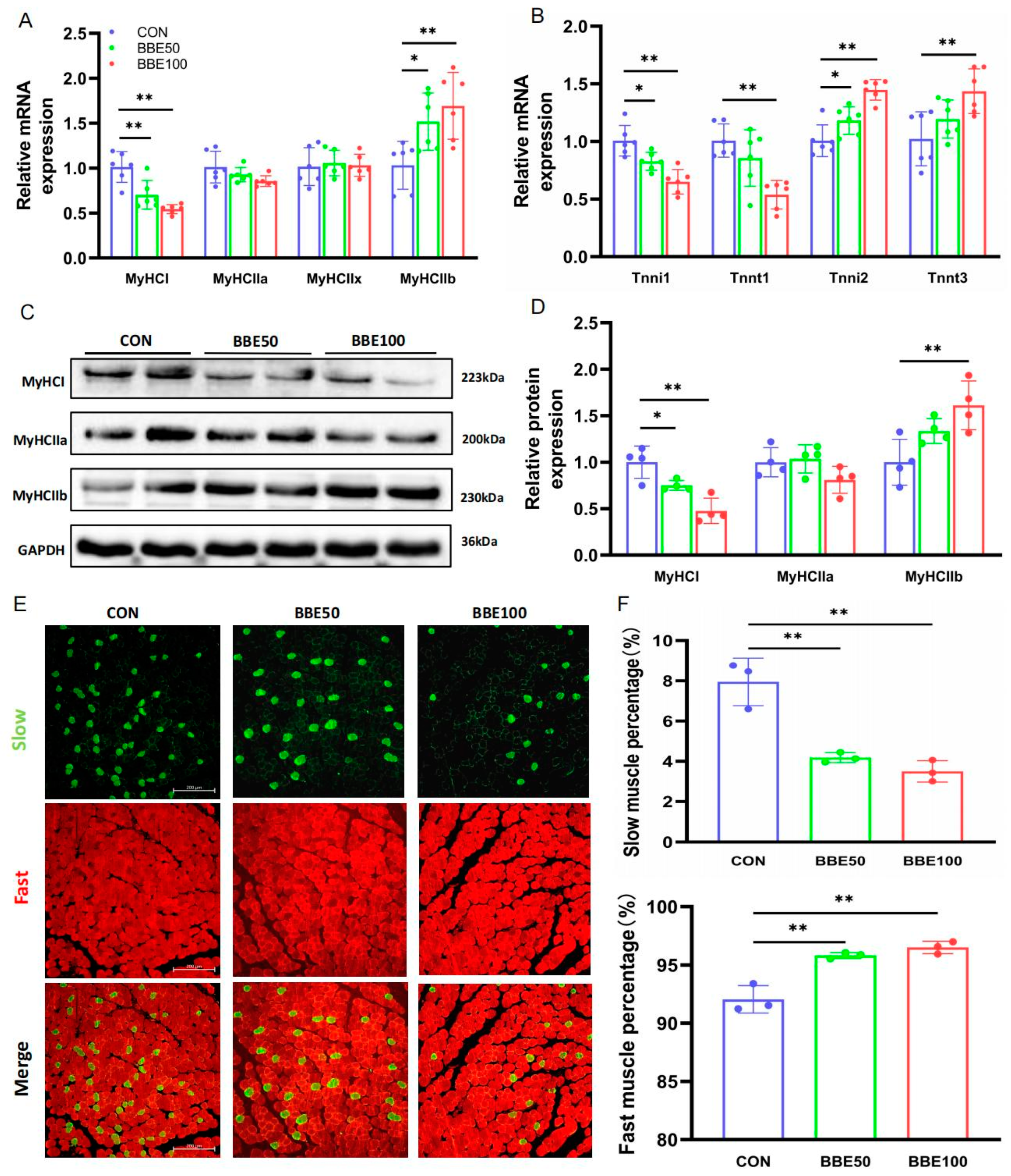 Foods 12 02471 g004 Foods 12 02471 g004