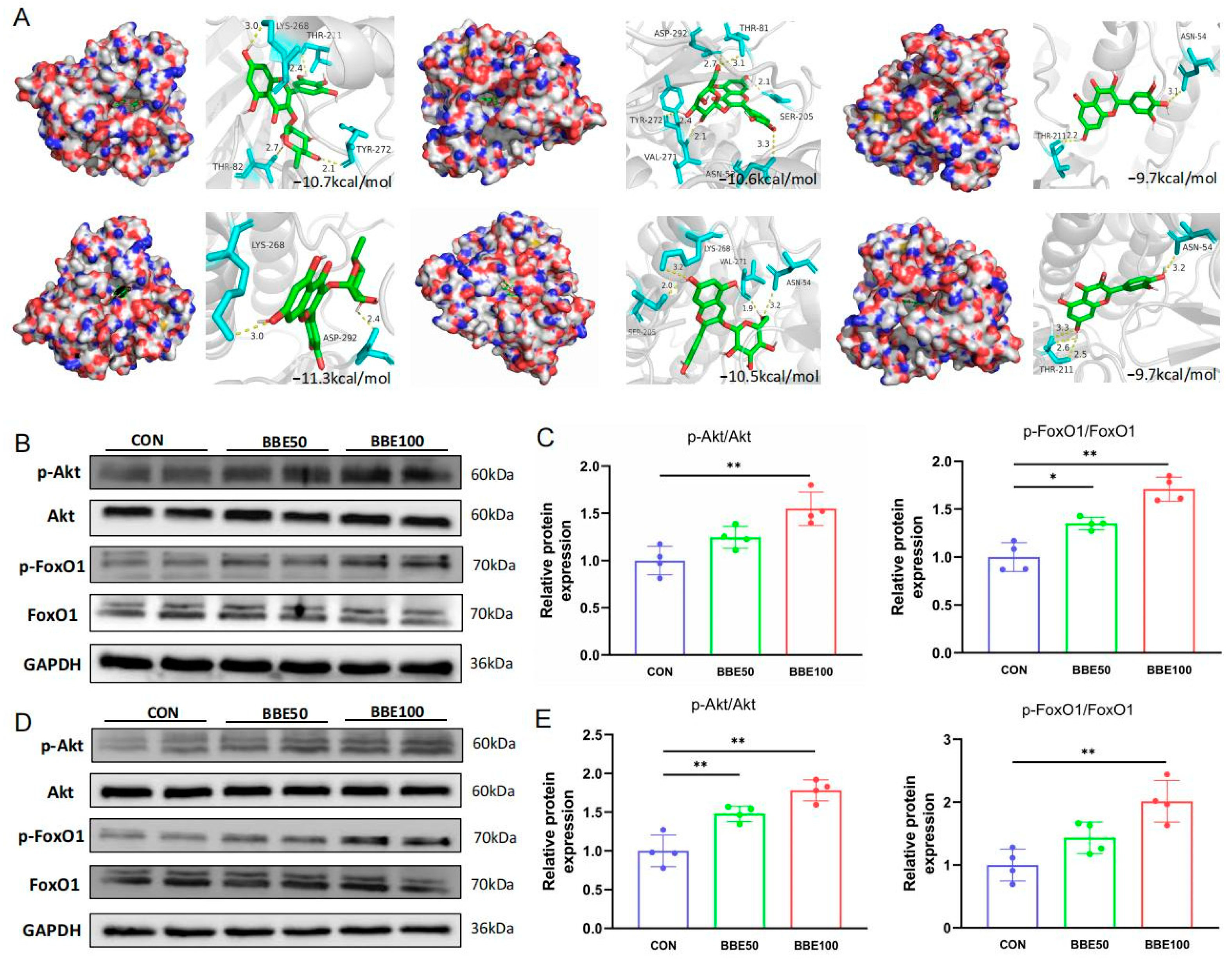 Foods 12 02471 g006 Foods 12 02471 g006