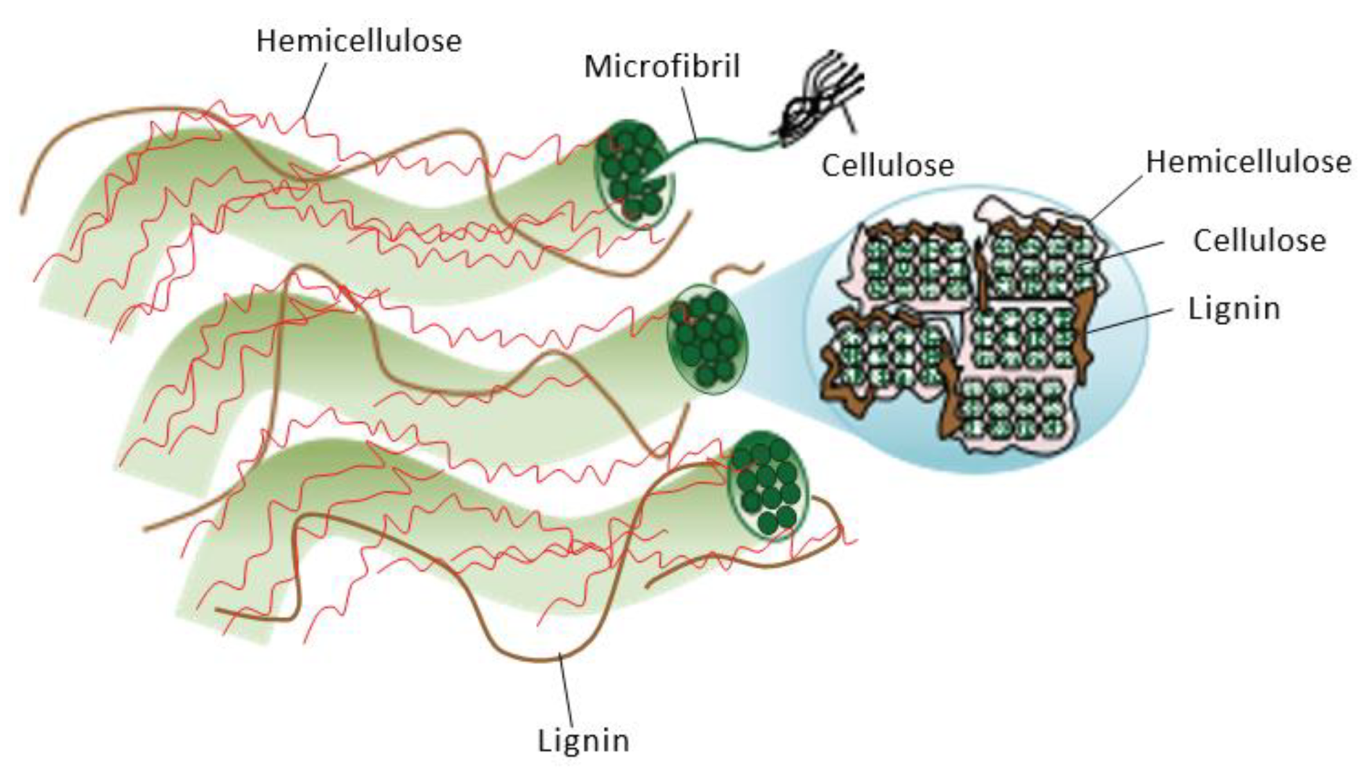 Foods 12 02473 g001 Foods 12 02473 g001