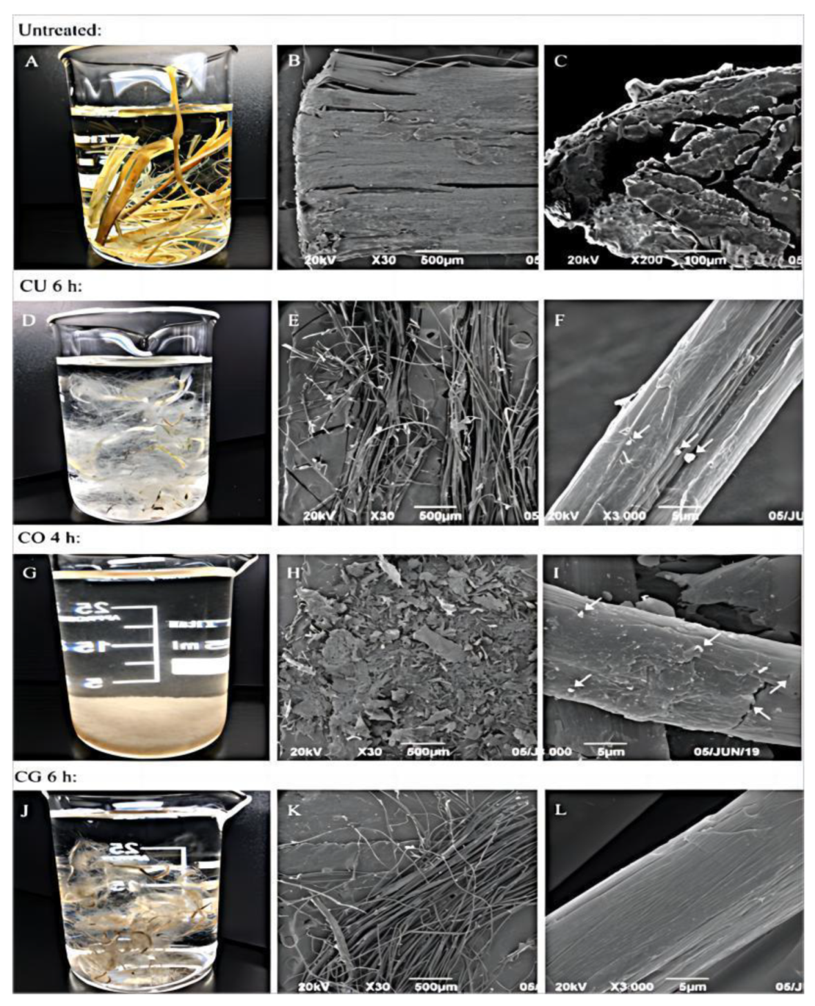 Foods 12 02473 g003 Foods 12 02473 g003