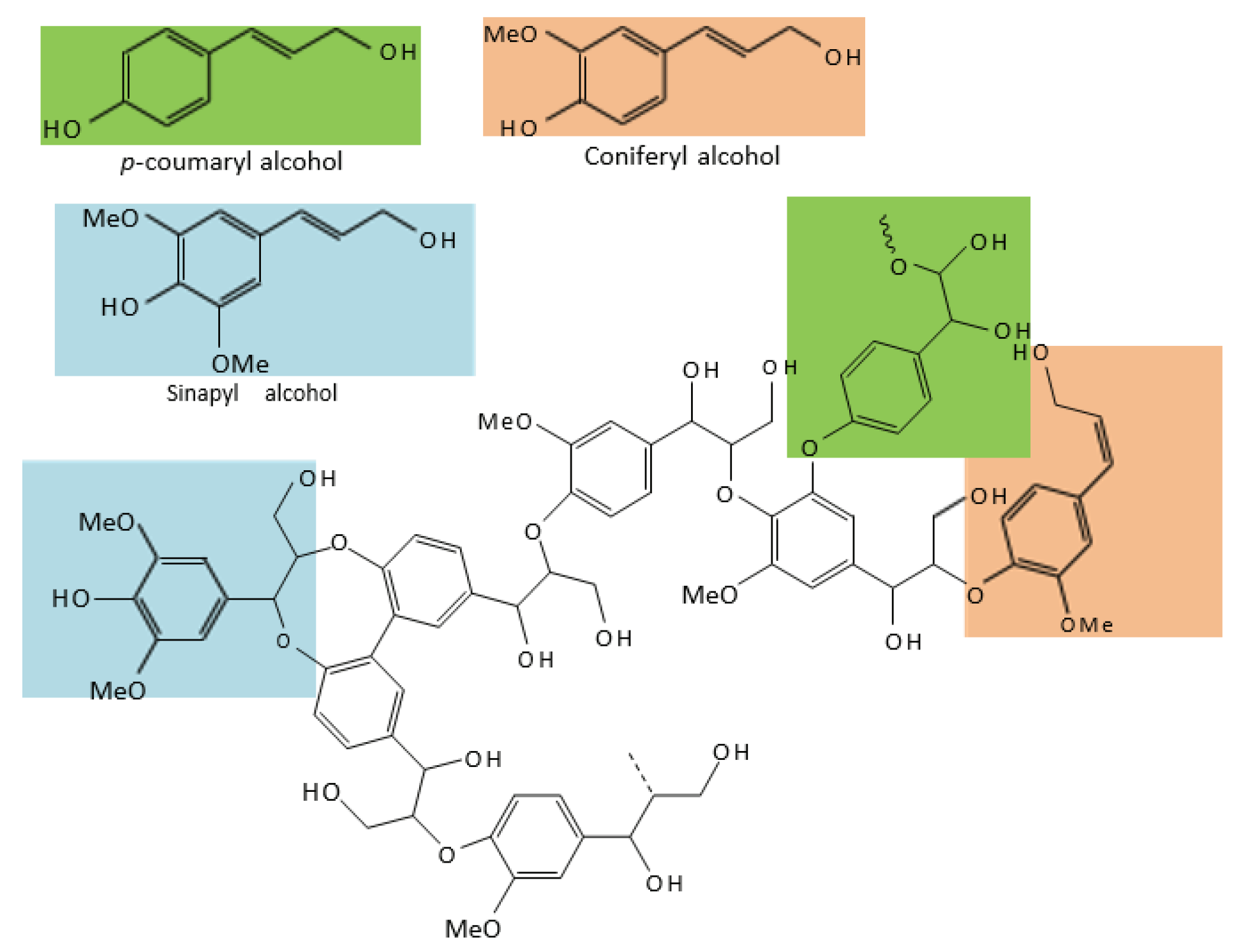 Foods 12 02473 g005 Foods 12 02473 g005
