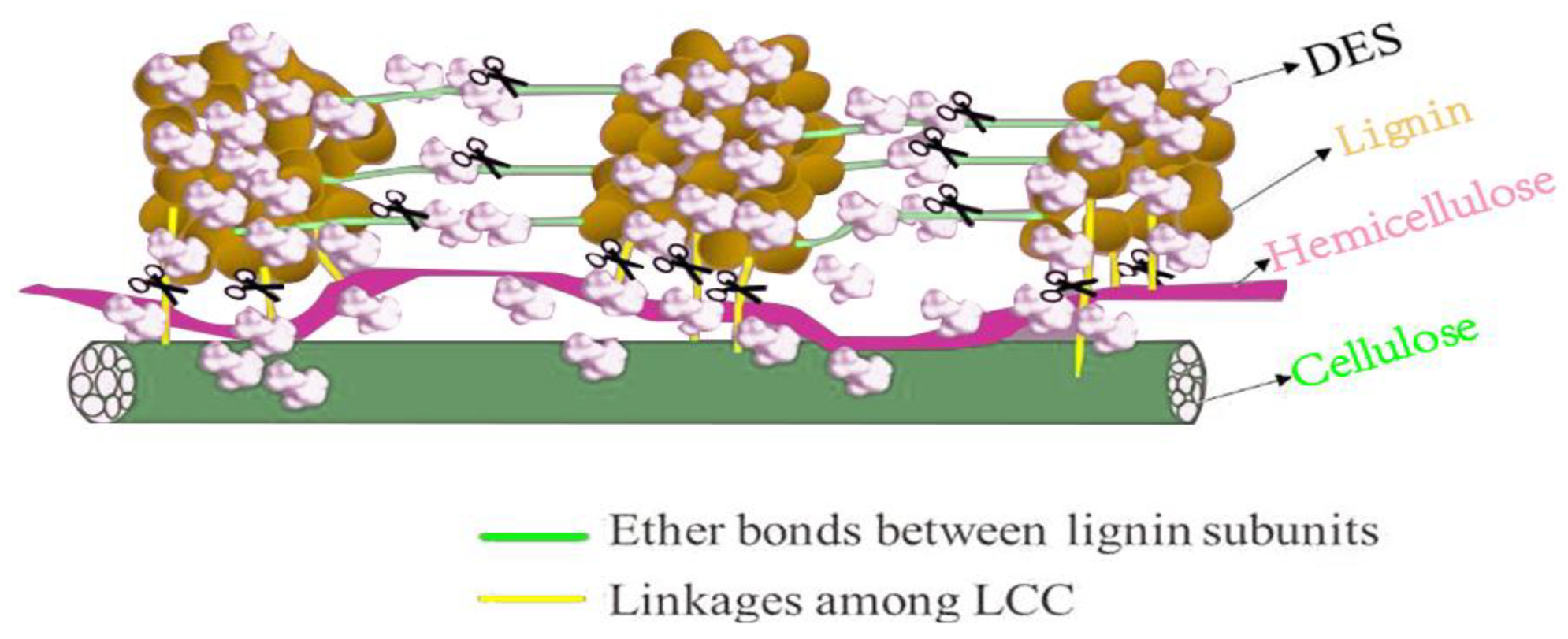 Foods 12 02473 g006 Foods 12 02473 g006