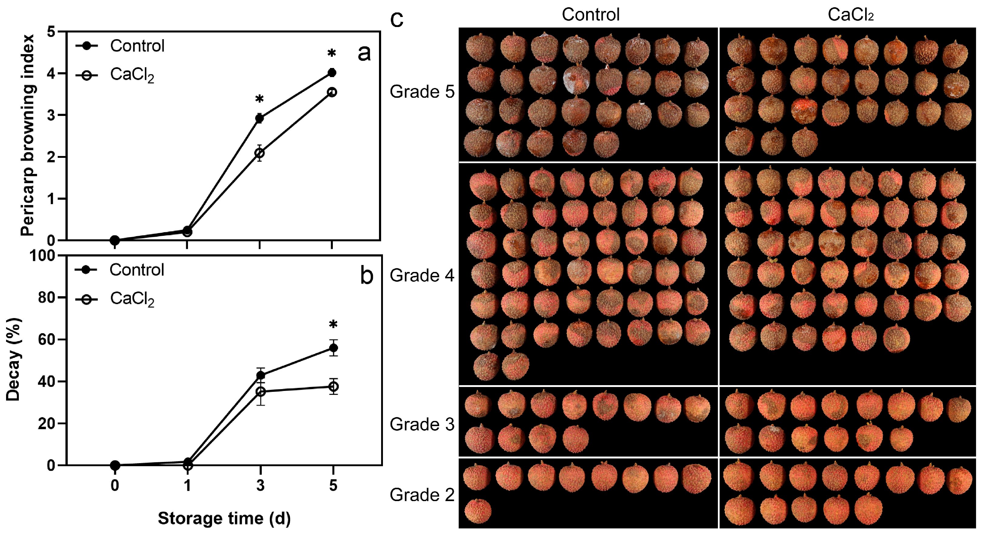Foods 12 02478 g001 Foods 12 02478 g001