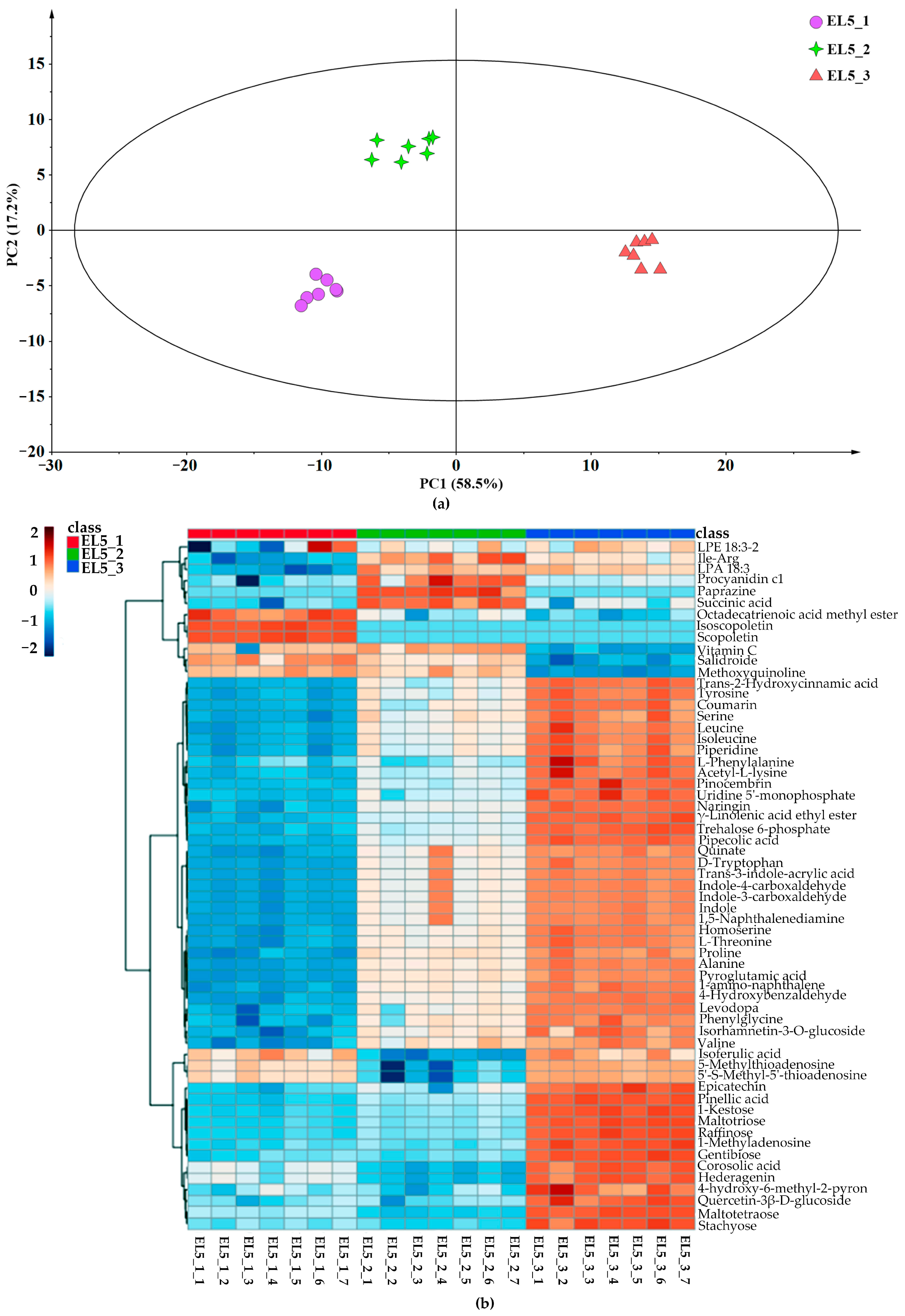 Foods 12 02493 g002a