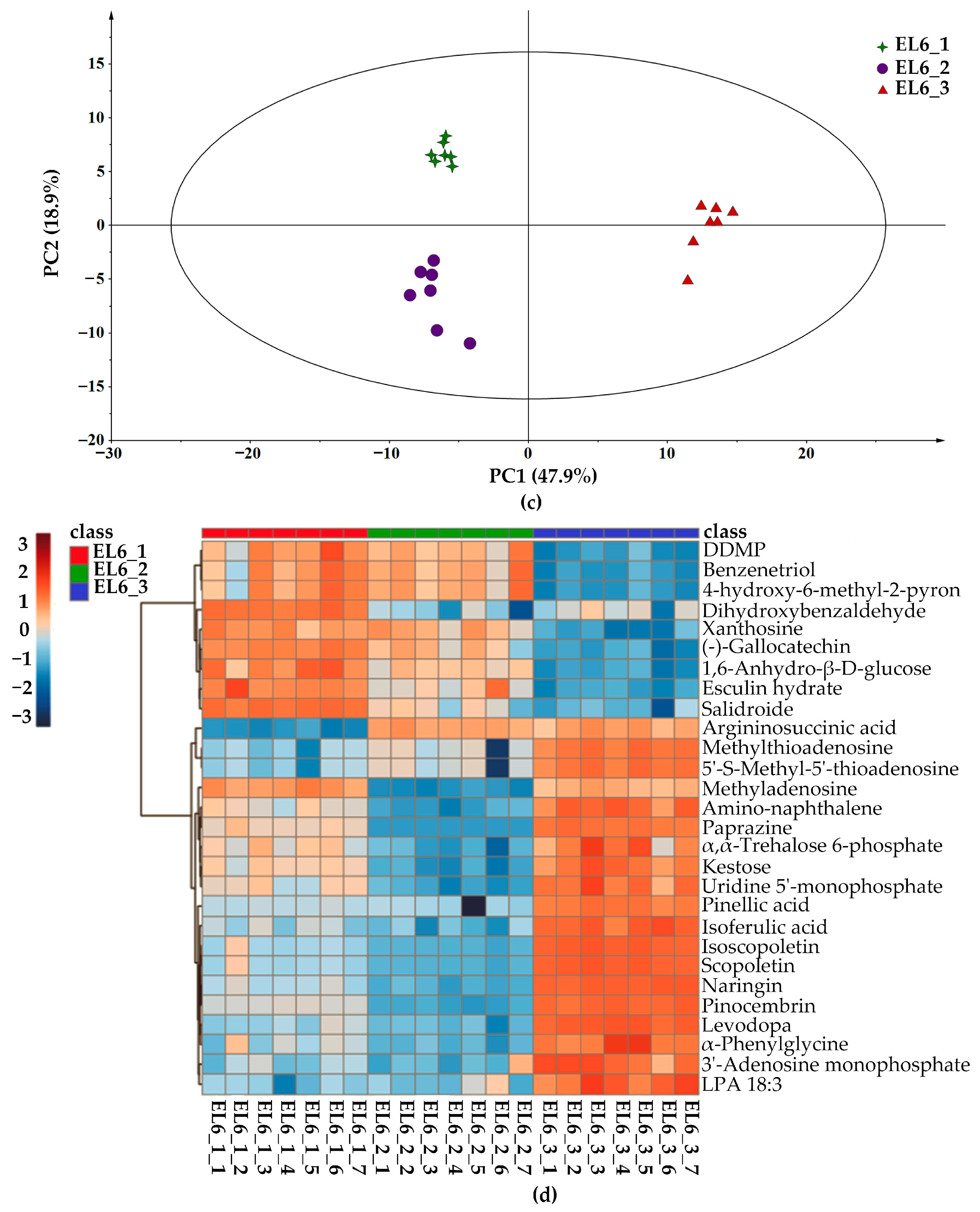Foods 12 02493 g002b