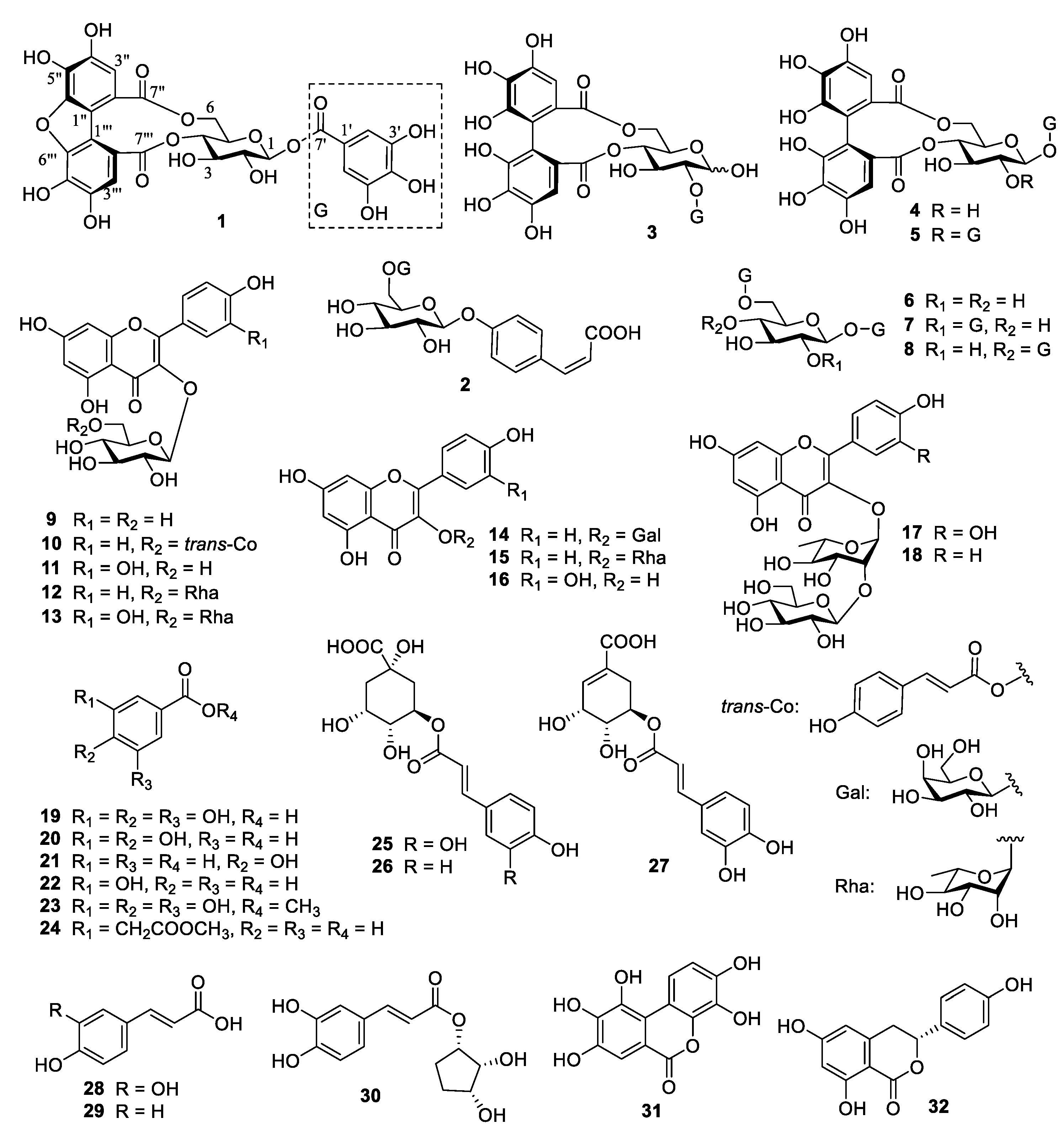 Foods 12 02512 g002 Foods 12 02512 g002