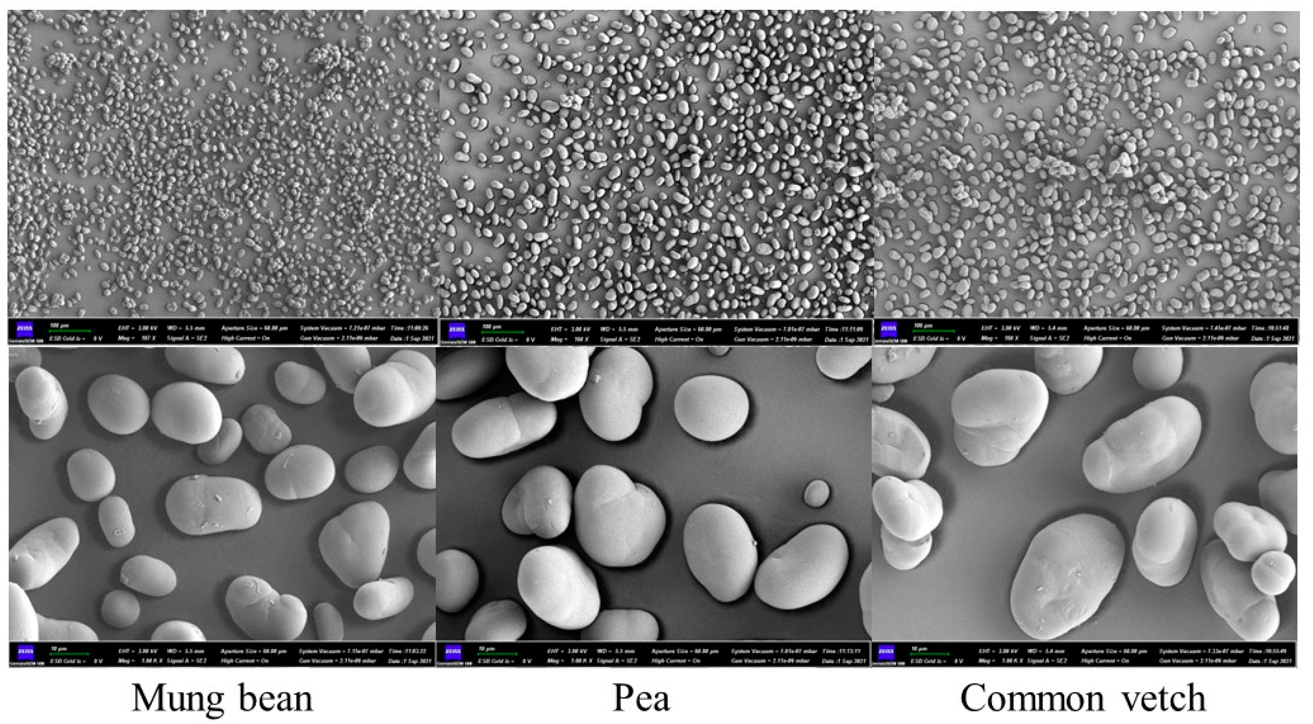 Foods 12 02513 g001 Foods 12 02513 g001