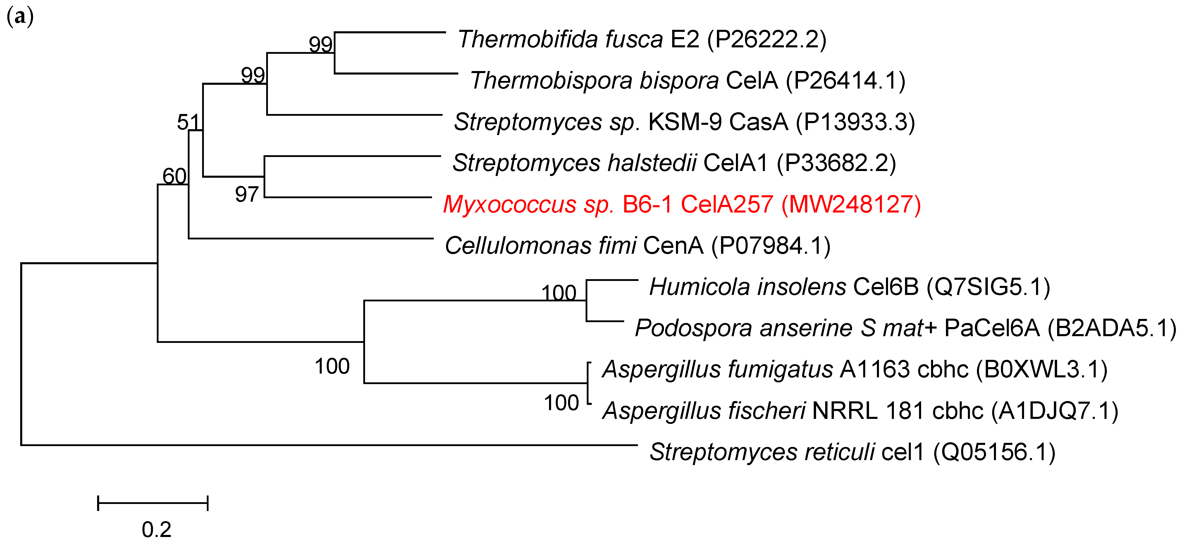 Foods 12 02517 g001a Foods 12 02517 g001a