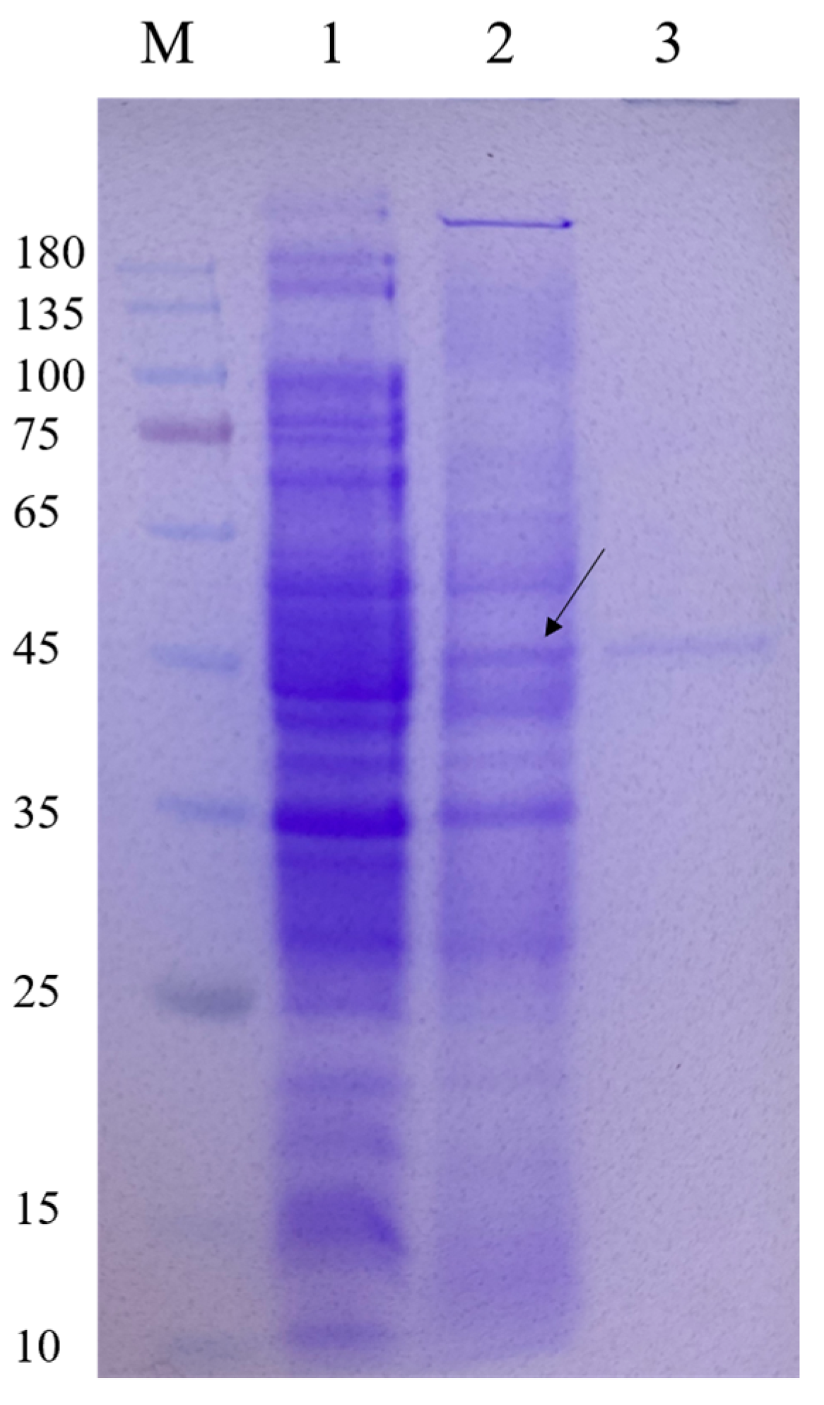 Foods 12 02517 g002 Foods 12 02517 g002