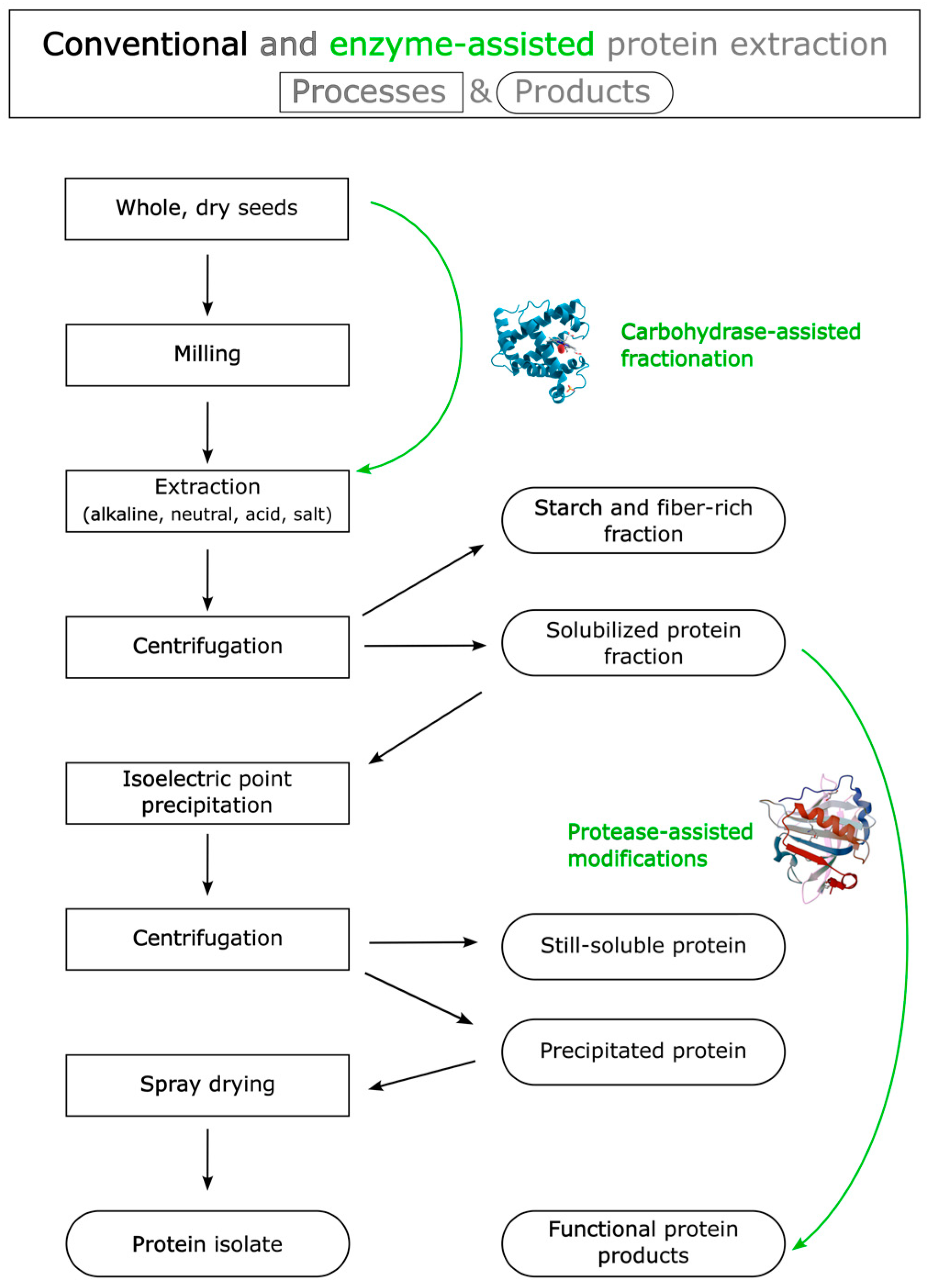 Foods 12 02518 g002 Foods 12 02518 g002