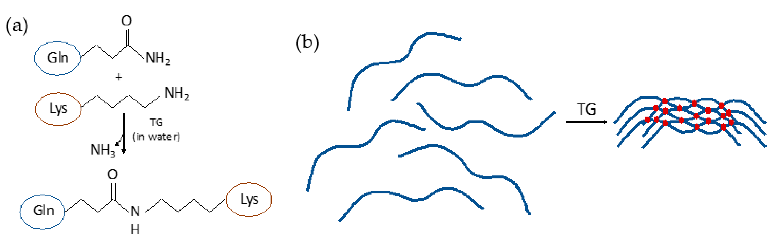 Foods 12 02518 g004 Foods 12 02518 g004
