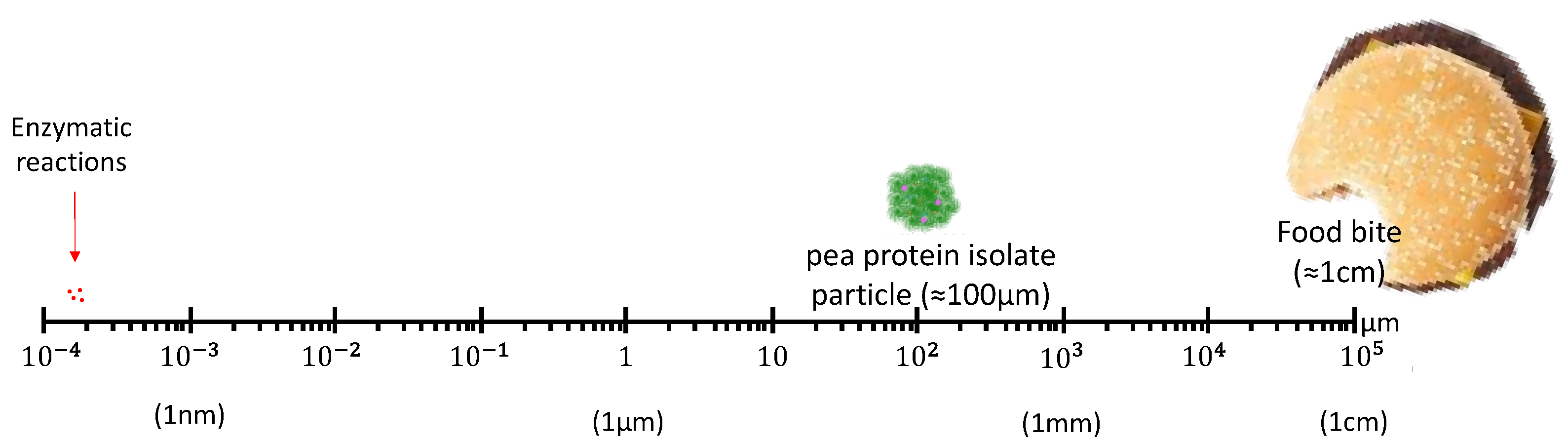 Foods 12 02518 g007 Foods 12 02518 g007