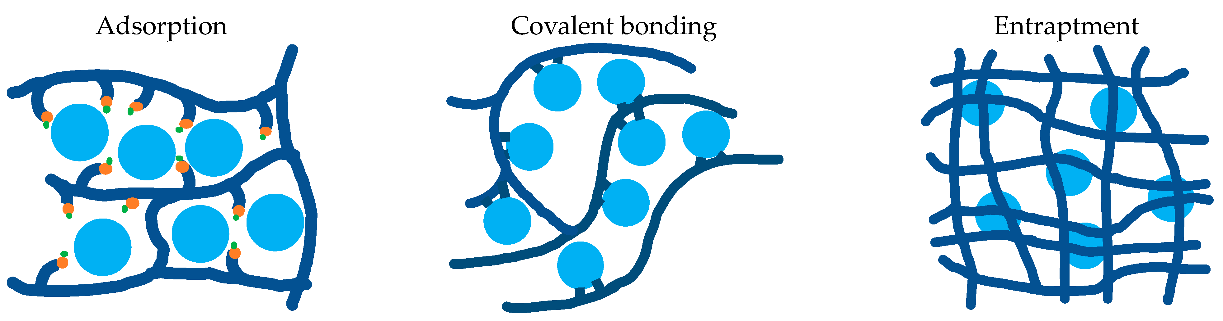 Foods 12 02518 g008 Foods 12 02518 g008